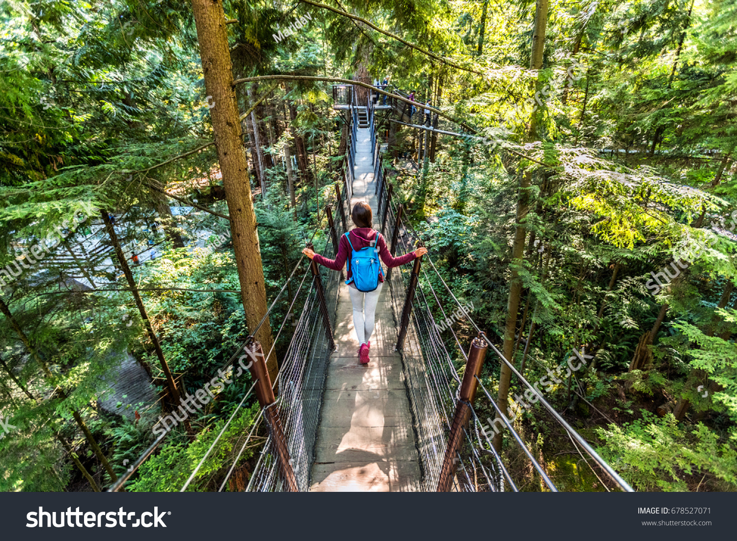 Canada travel tourist woman walking in famous attraction Capilano Suspension Bridge in North Vancouver, British Columbia, canadian vacation destination for tourism. #678527071