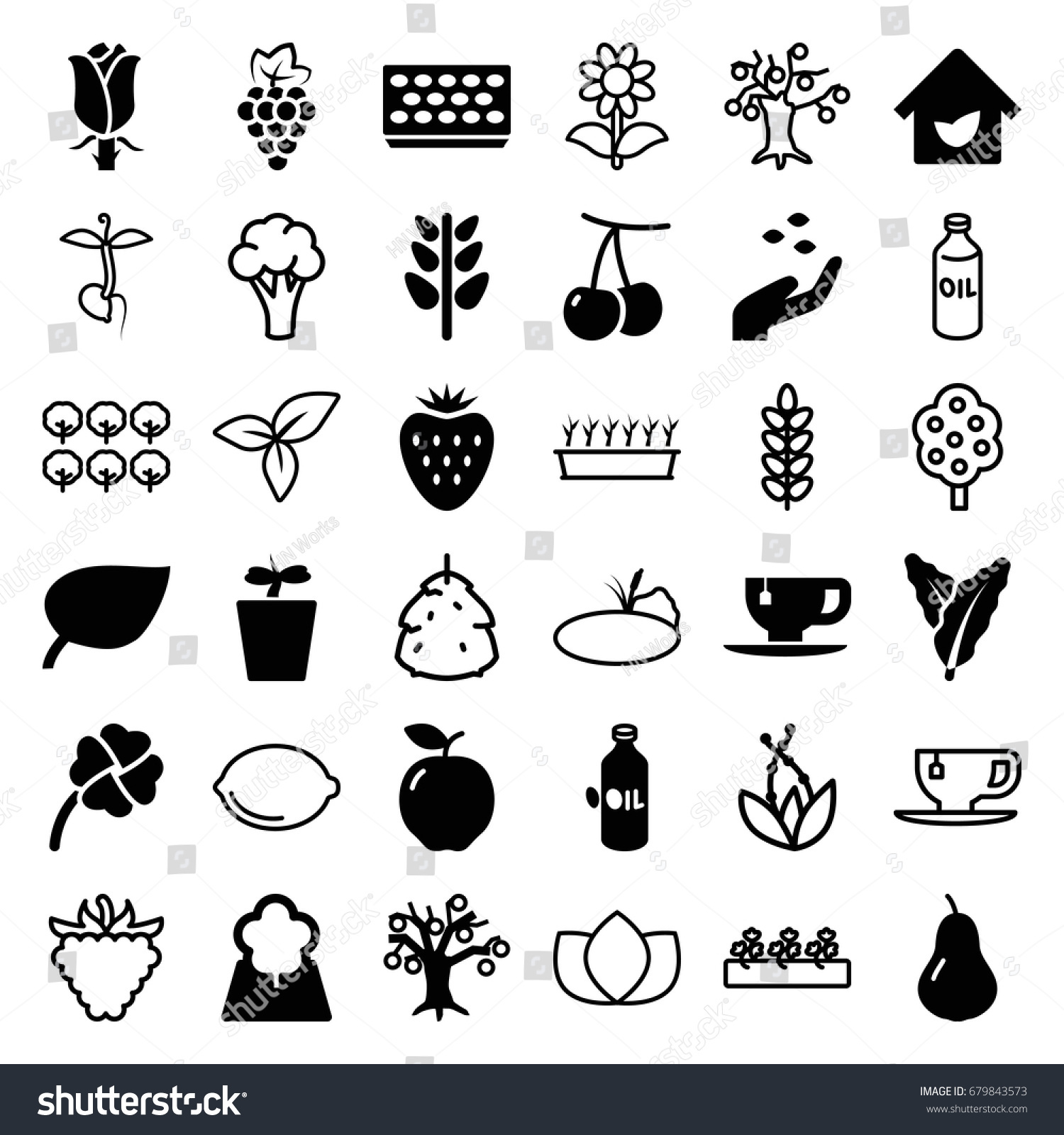 Leaf icons set. set of 36 leaf filled and outline icons such as apple, pear, cherry, grape, spinach, oil, hand with seeds, tea cup, pot for plants, plant in pot, rose, plant #679843573