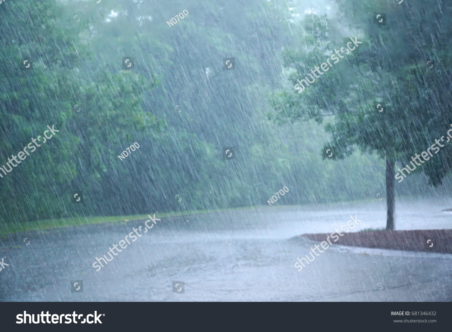 heavy rain and tree in the parking lot #681346432
