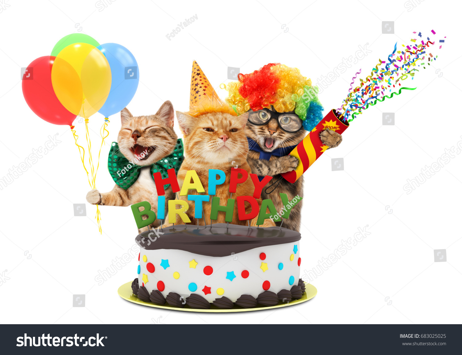 Funny cats with happy birthday cake. They are wearing a party hat, isolated on white background. #683025025