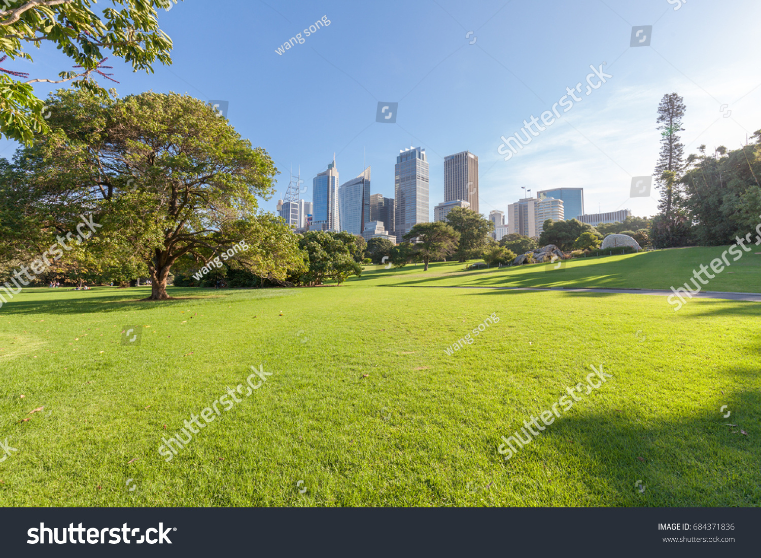
Sydney city building and park #684371836
