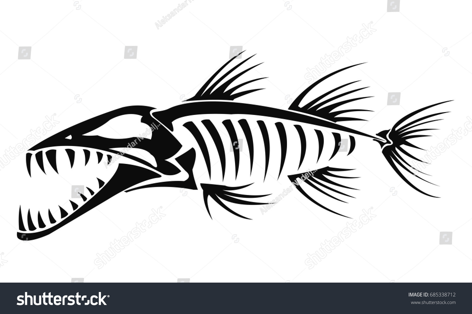 Barracuda skeleton - Royalty Free Stock Vector 685338712 - Avopix.com