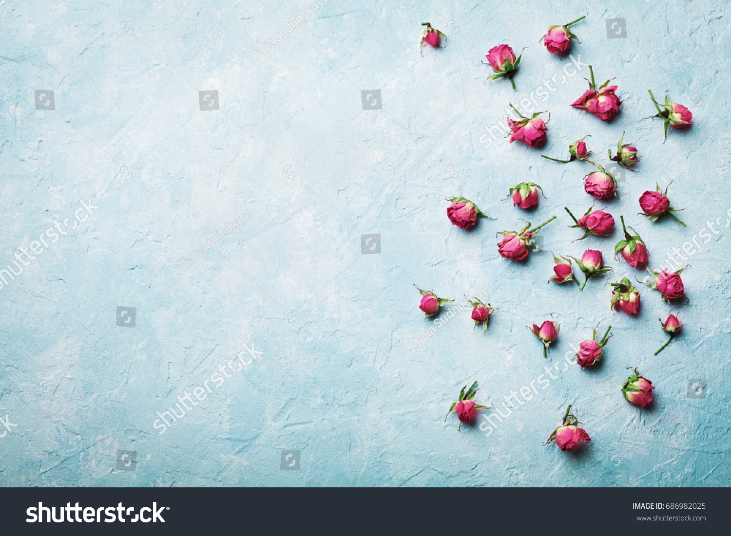 Pink rose flowers on blue vintage table top view in flat lay style.  #686982025