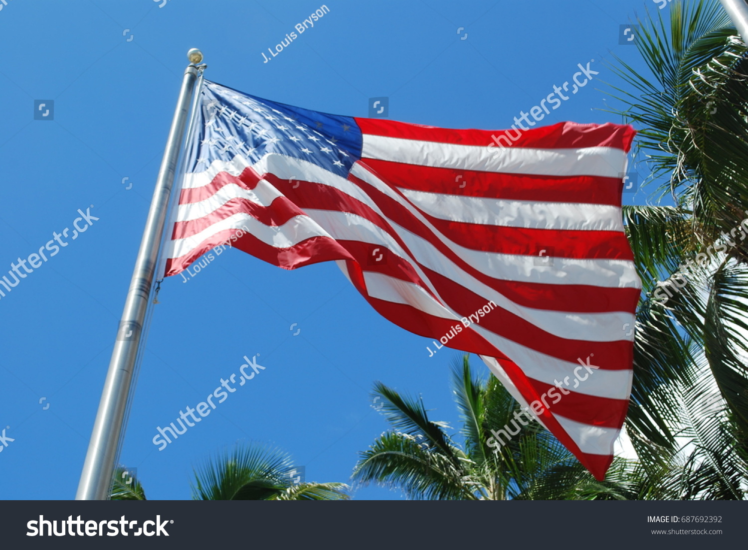 American Flag #687692392