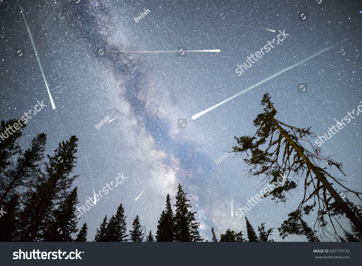 A view of a Meteor Shower and the Milky Way with a pine trees forest silhouette in the foreground. Night sky nature summer landscape. Perseid Meteor Shower observation. #687779170