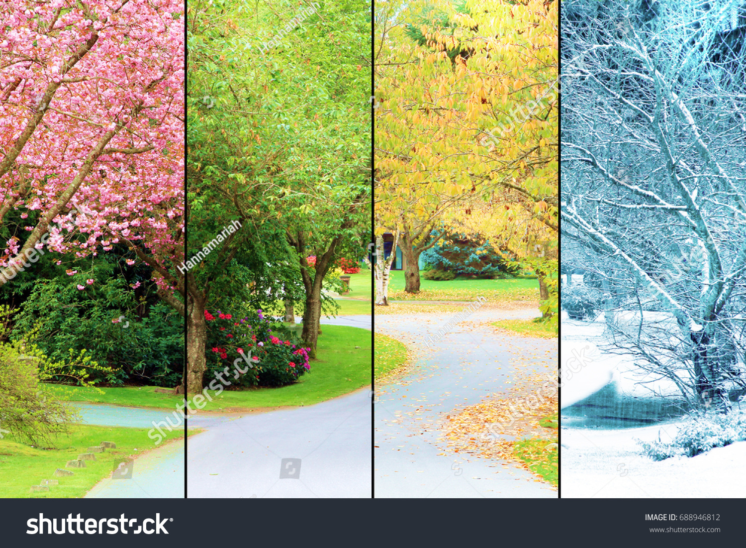 A tree lined street, photographed in all four seasons from the same location. Spring, Summer, Fall, Winter.  #688946812