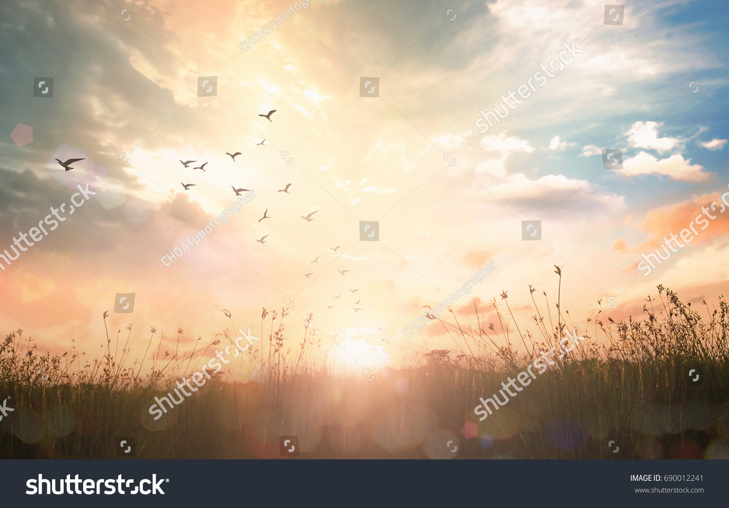 Easter Religious concept: Silhouette birds flying on meadow autumn sunrise landscape background #690012241