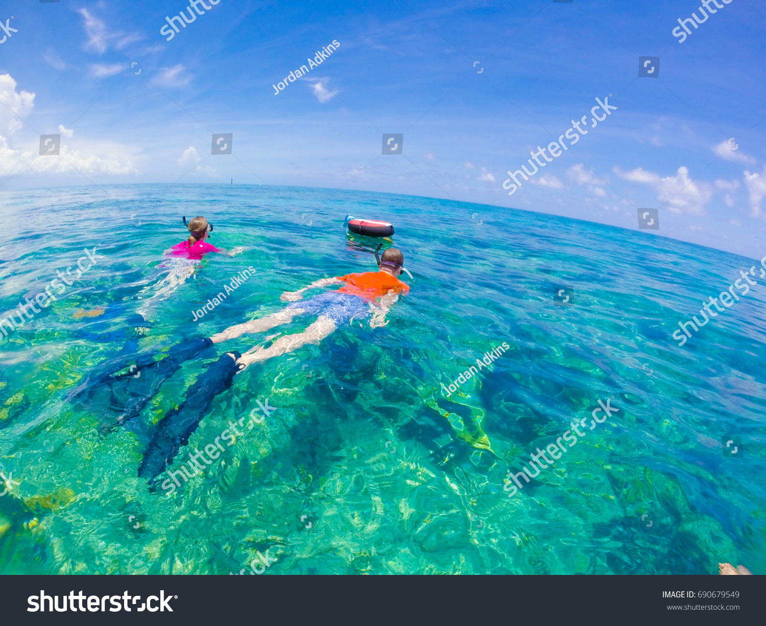 Snorkelling in Key West - Florida Marine Sanctuary  #690679549