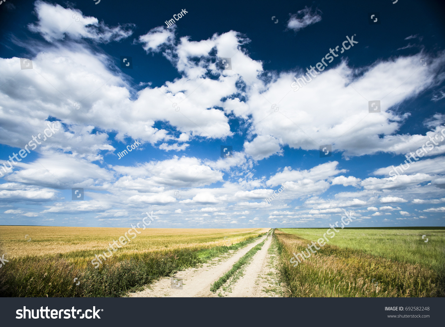 A dirt road cuts through farm land and a sky filled with dramatic clouds.  #692582248