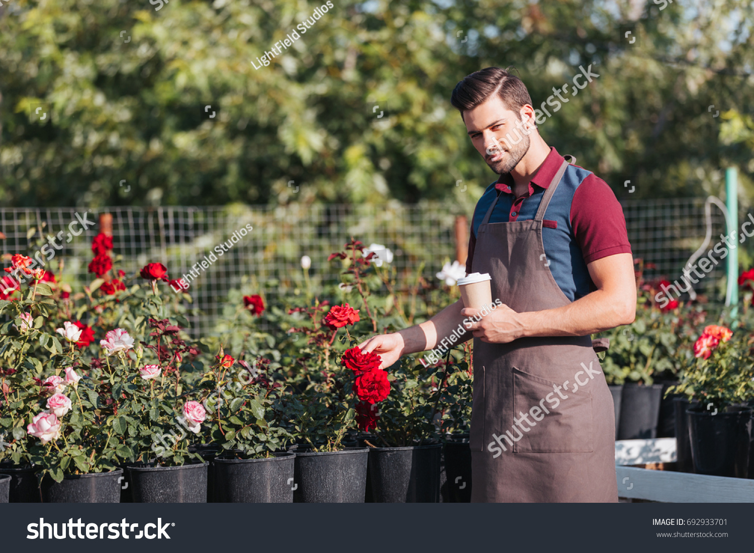 portrait of handsome gardener in apron holding disposable cup of coffee in garden #692933701