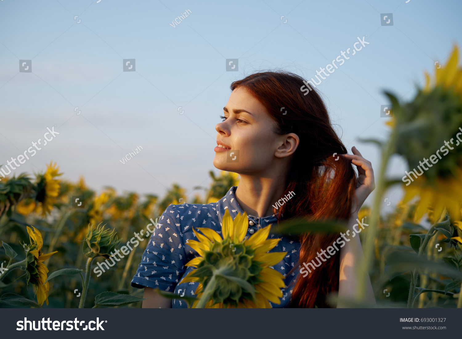 Woman looking at sunset, sunflowers                                #693001327