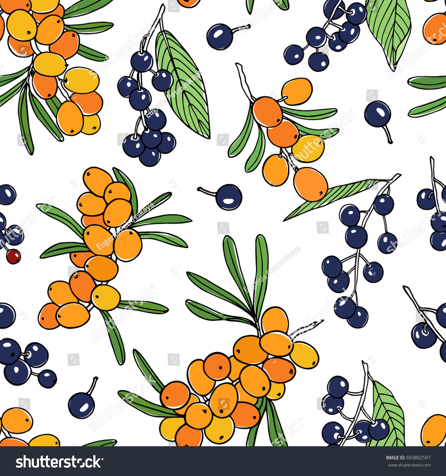 Vector seamless pattern with hand drawn sea buckthorn and bird cherry twigs. Beautiful food design elements, ink drawing #693802597