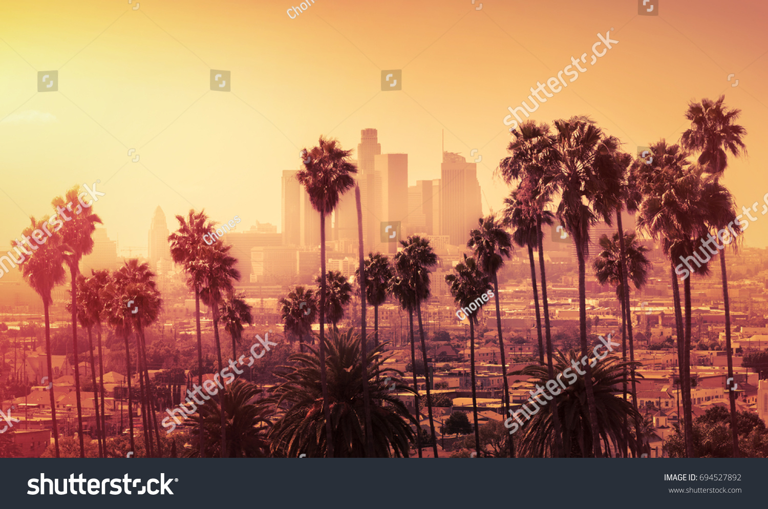 Beautiful sunset of Los Angeles downtown skyline and palm trees in foreground #694527892