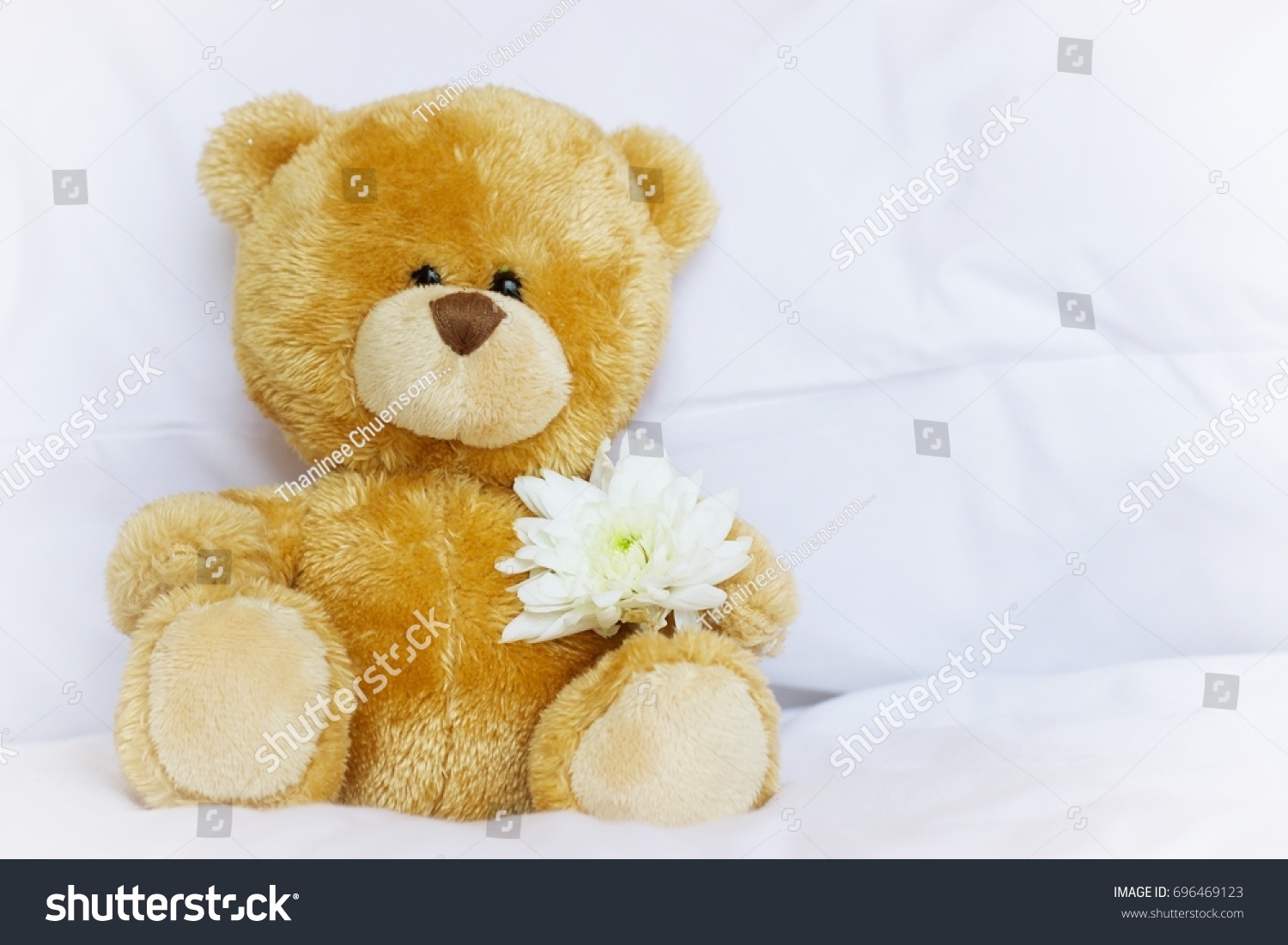 Teddy bear is holding flower on white background #696469123