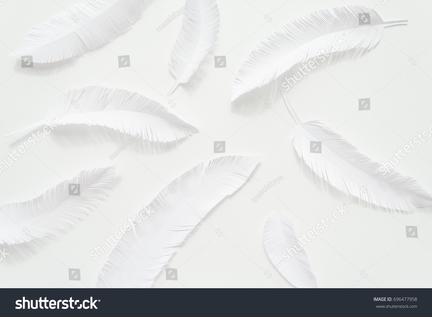 the feathers of a bird made of white paper on white background. White on white #696477958