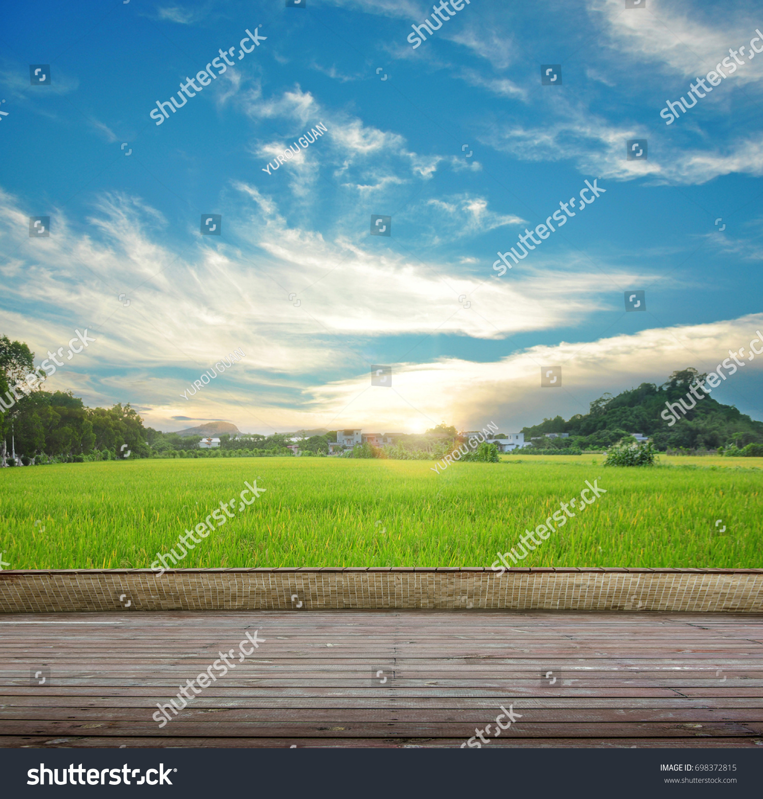 Synthesis of wooden planks floor and green field background. Green field under the sun. Wooden planks floor. Beauty nature background. #698372815