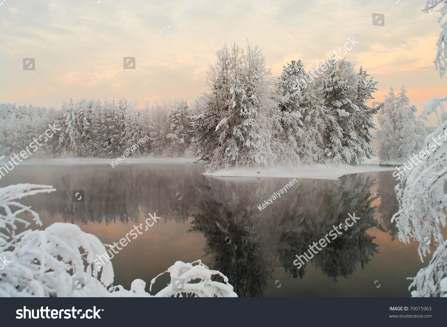 Unfrozen lake in the winter forests of Karelia, Russia. Black water and snowy brunches #70015963