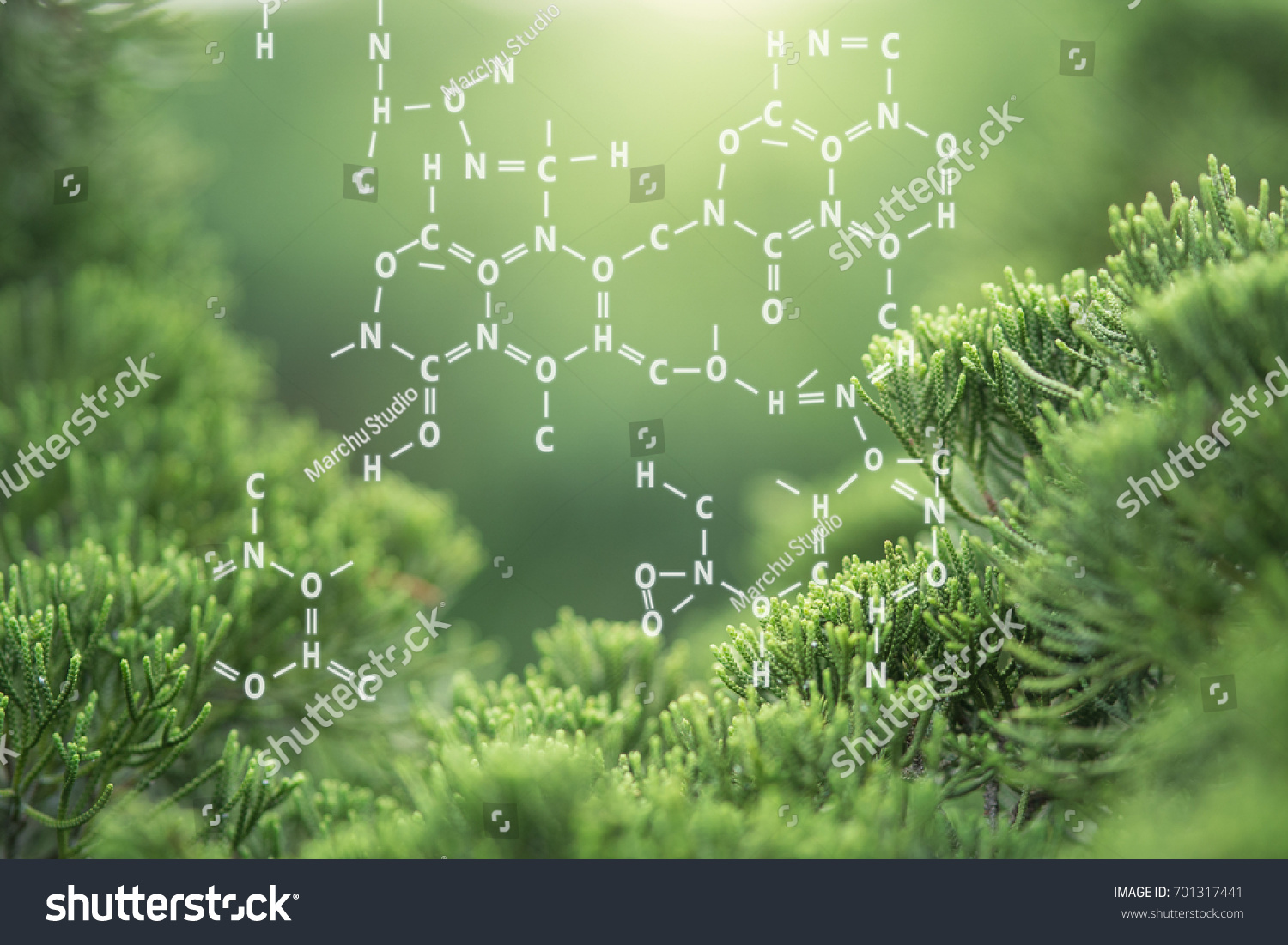 Plants background with biochemistry structure. #701317441