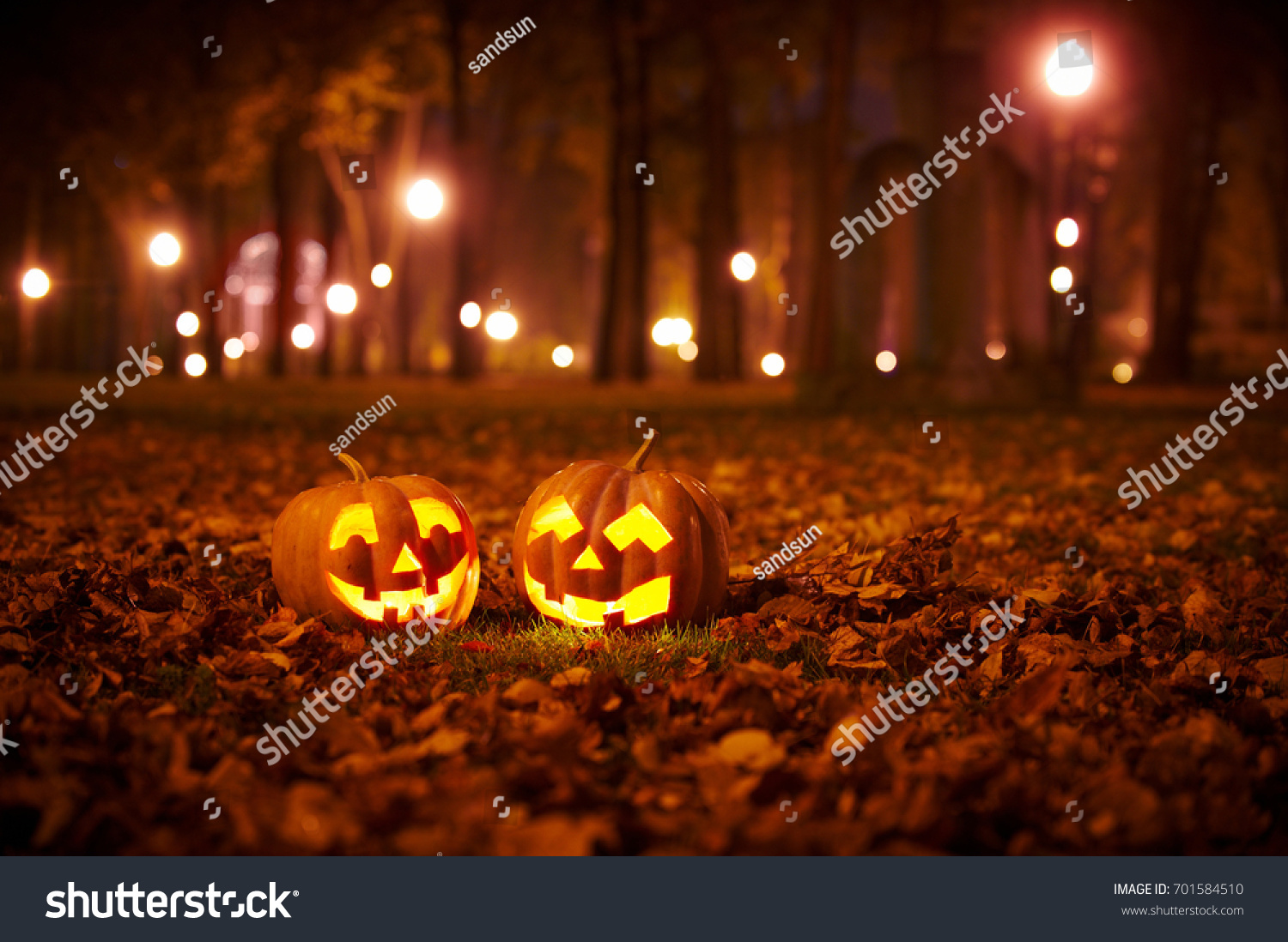 Two Kind Halloween Pumpkins in the park at night #701584510