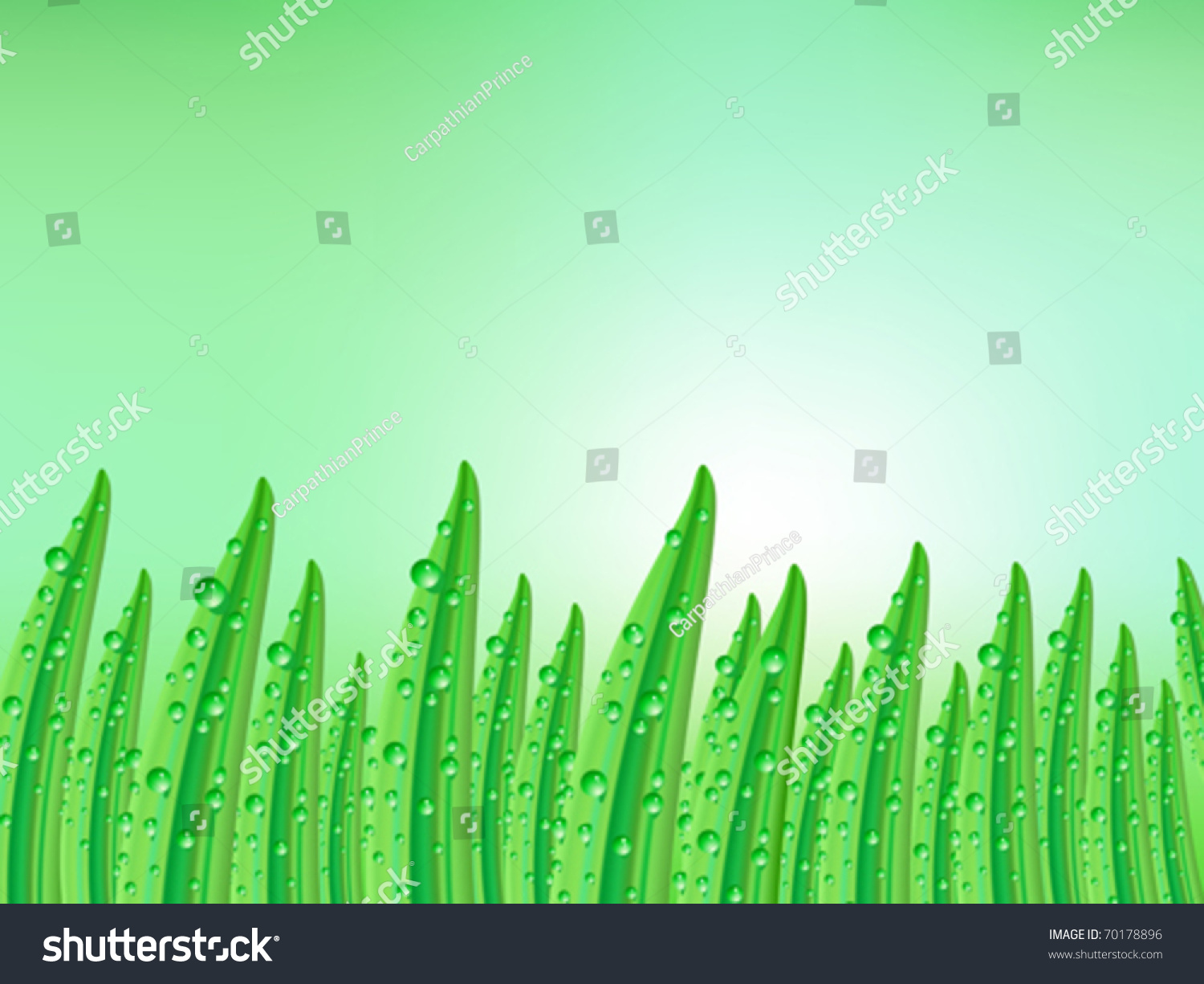 fresh green grass blades #70178896