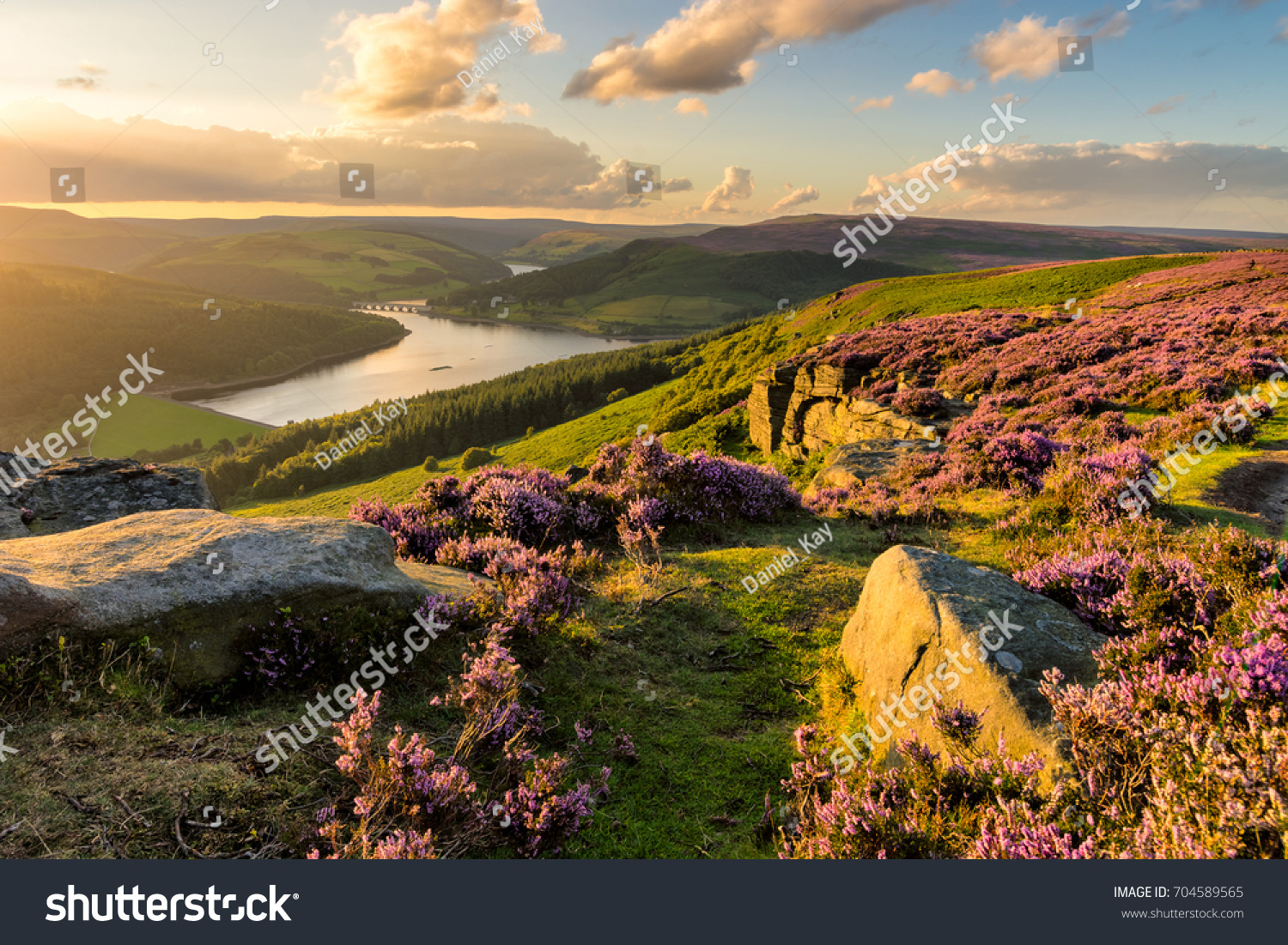 Beautiful evening light on a summer evening at Bamford Edge in the Peak District National Park. #704589565
