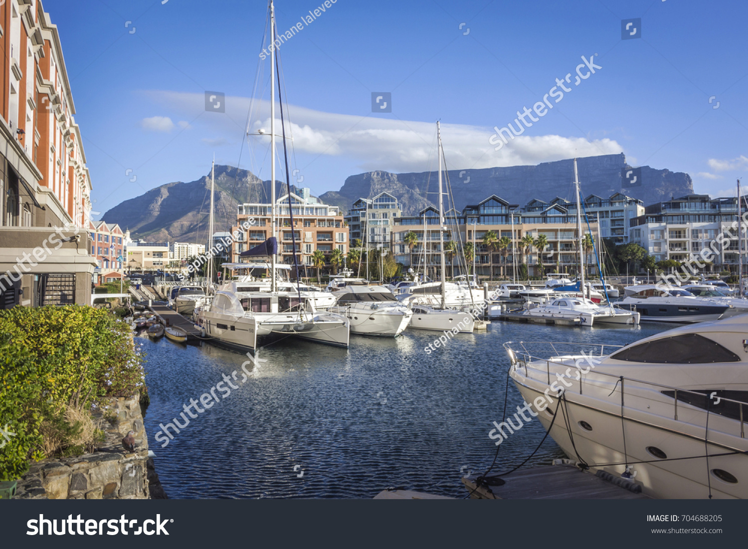 Famous V&A waterfront of Cape Town, SOUTH AFRICA, with table mountain background on the sunny day #704688205