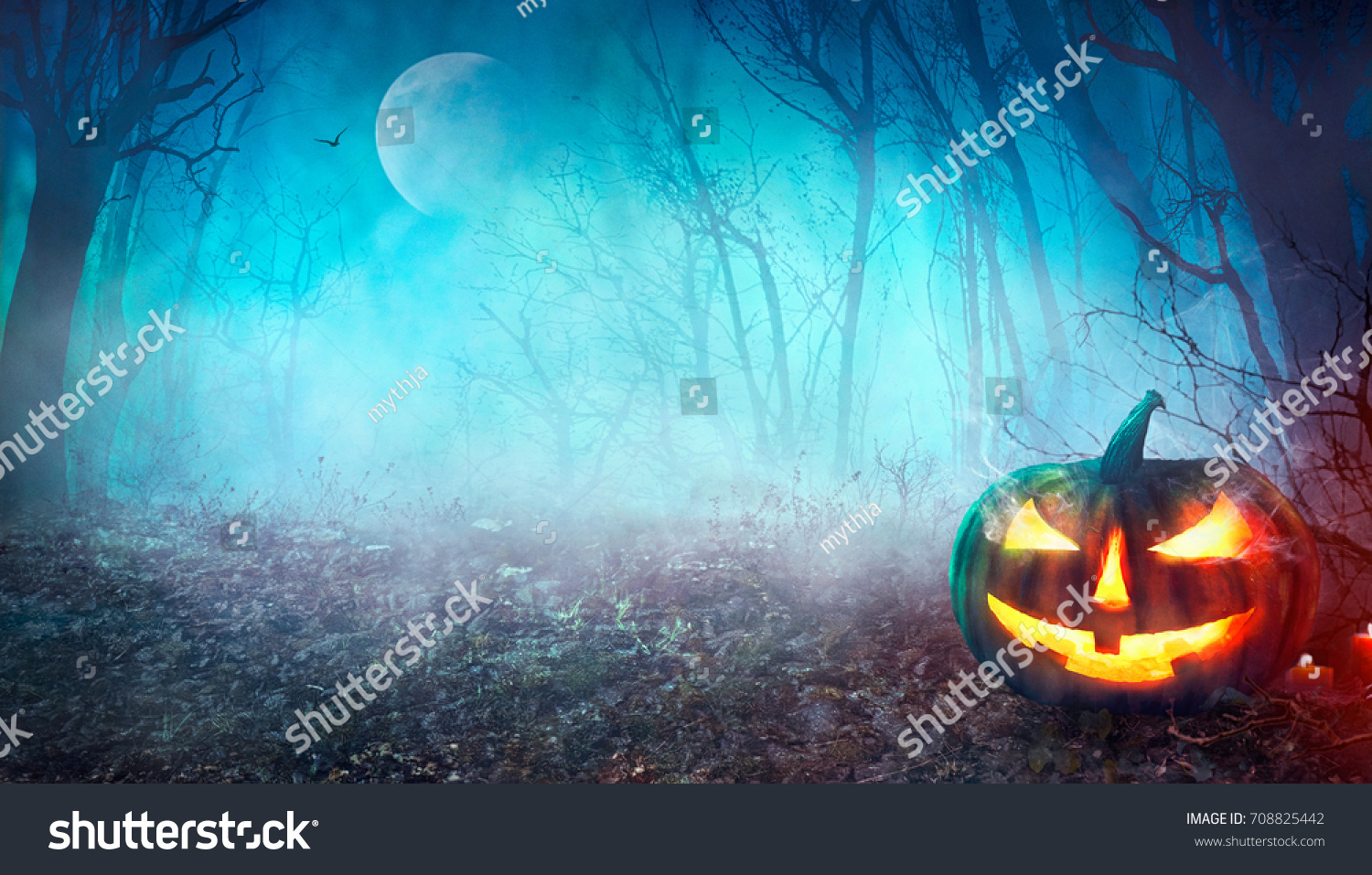 Halloween background. Spooky pumpkin with moon and dark forest. Halloween design with copyspace
 #708825442