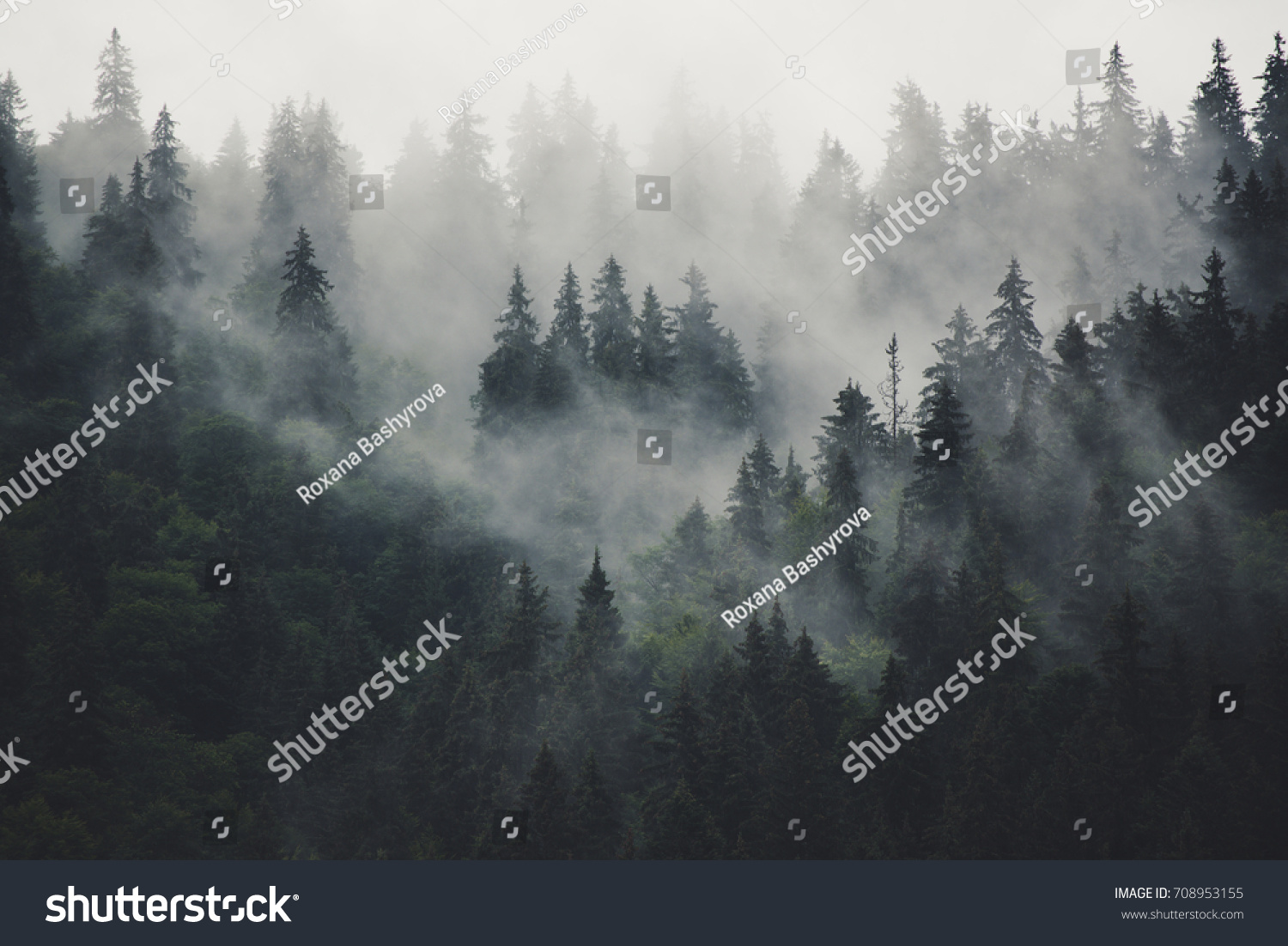 Misty landscape with fir forest in hipster vintage retro style #708953155