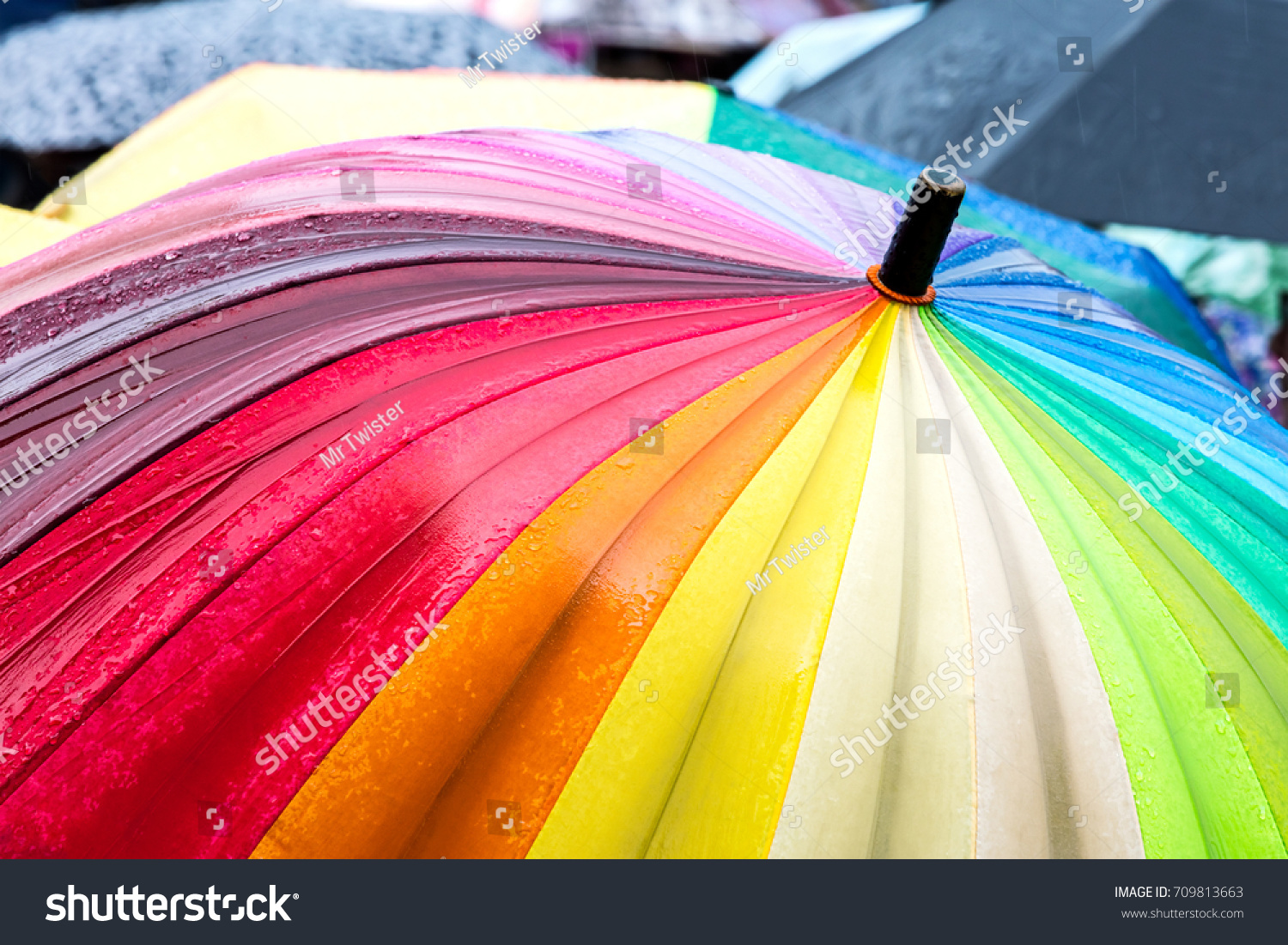 rainbow umbrella stand out from the crowd of many umbrellas in the rain #709813663