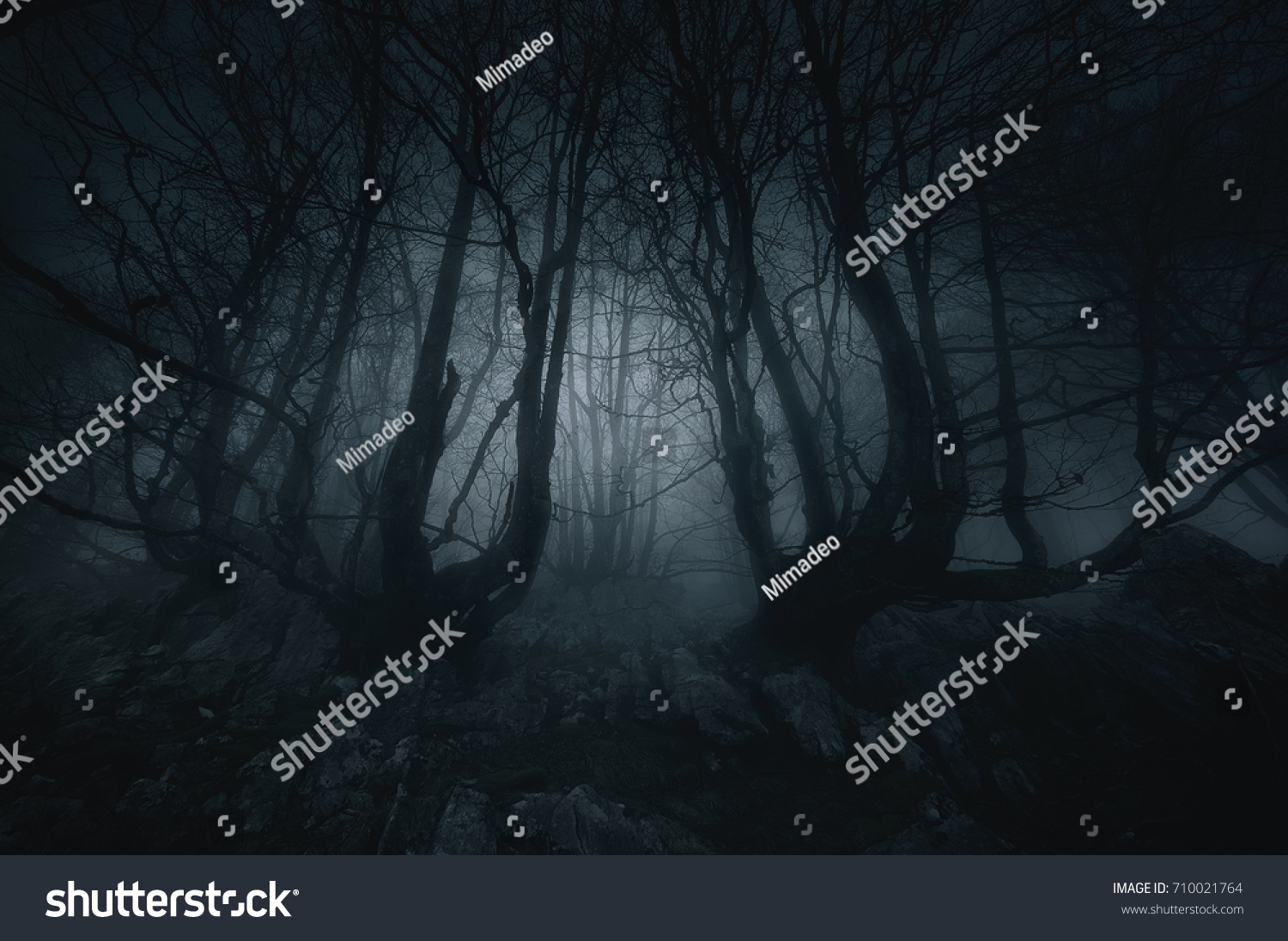 nightmare forest with creepy trees #710021764