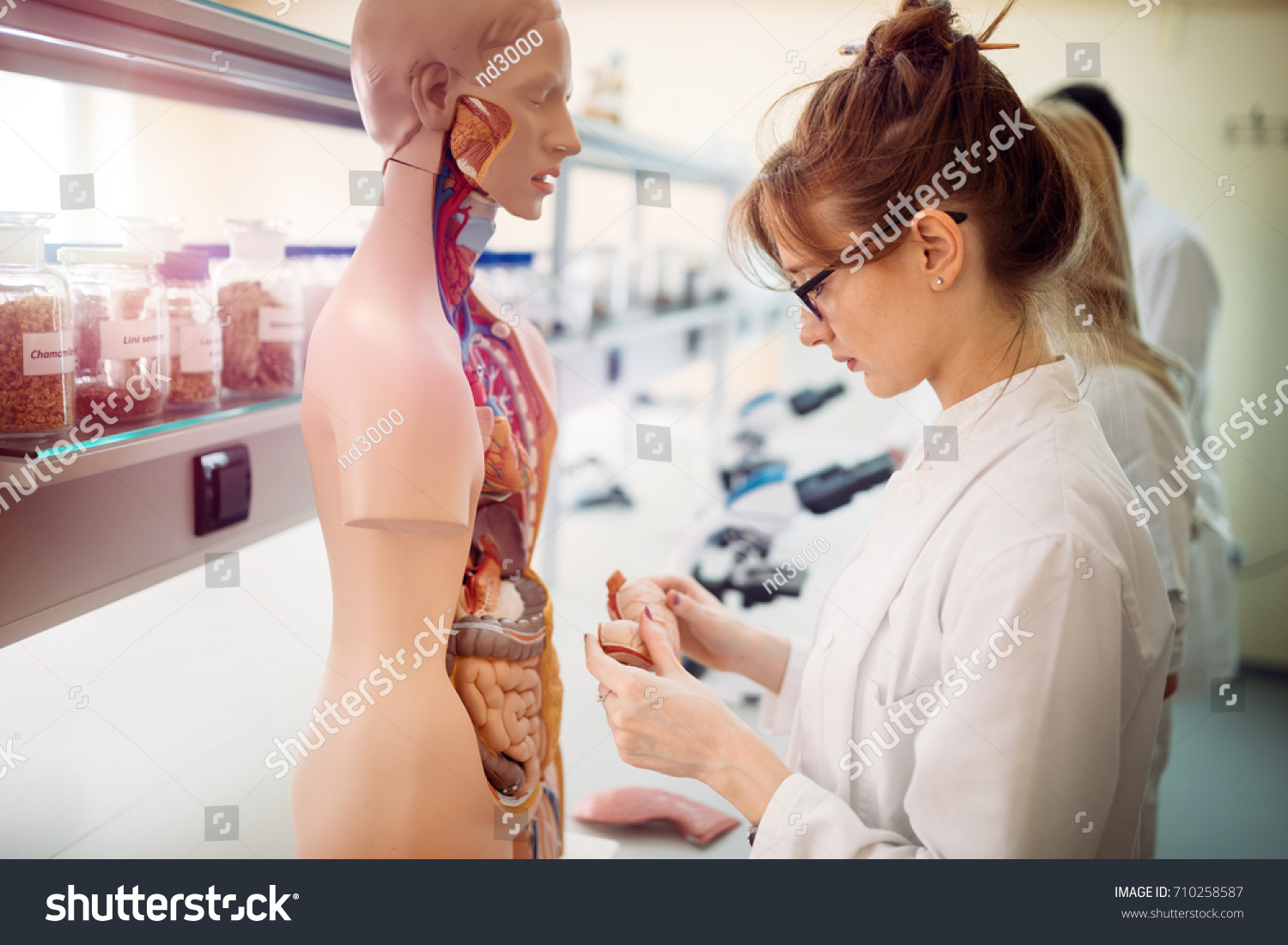 Student of medicine examining anatomical model in lab #710258587