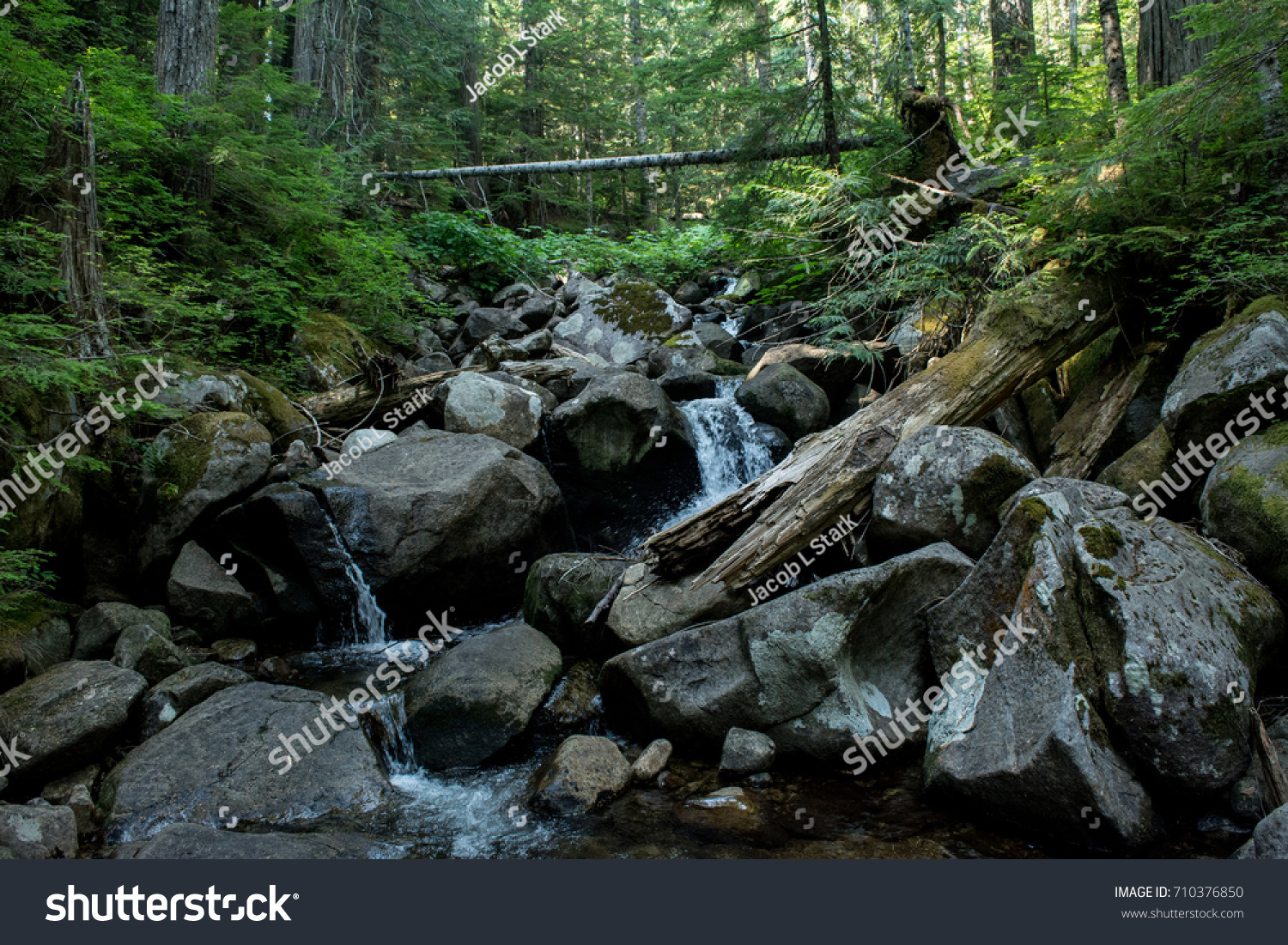 Talapus Trail Creek: A creek along the Talapus Trail. #710376850