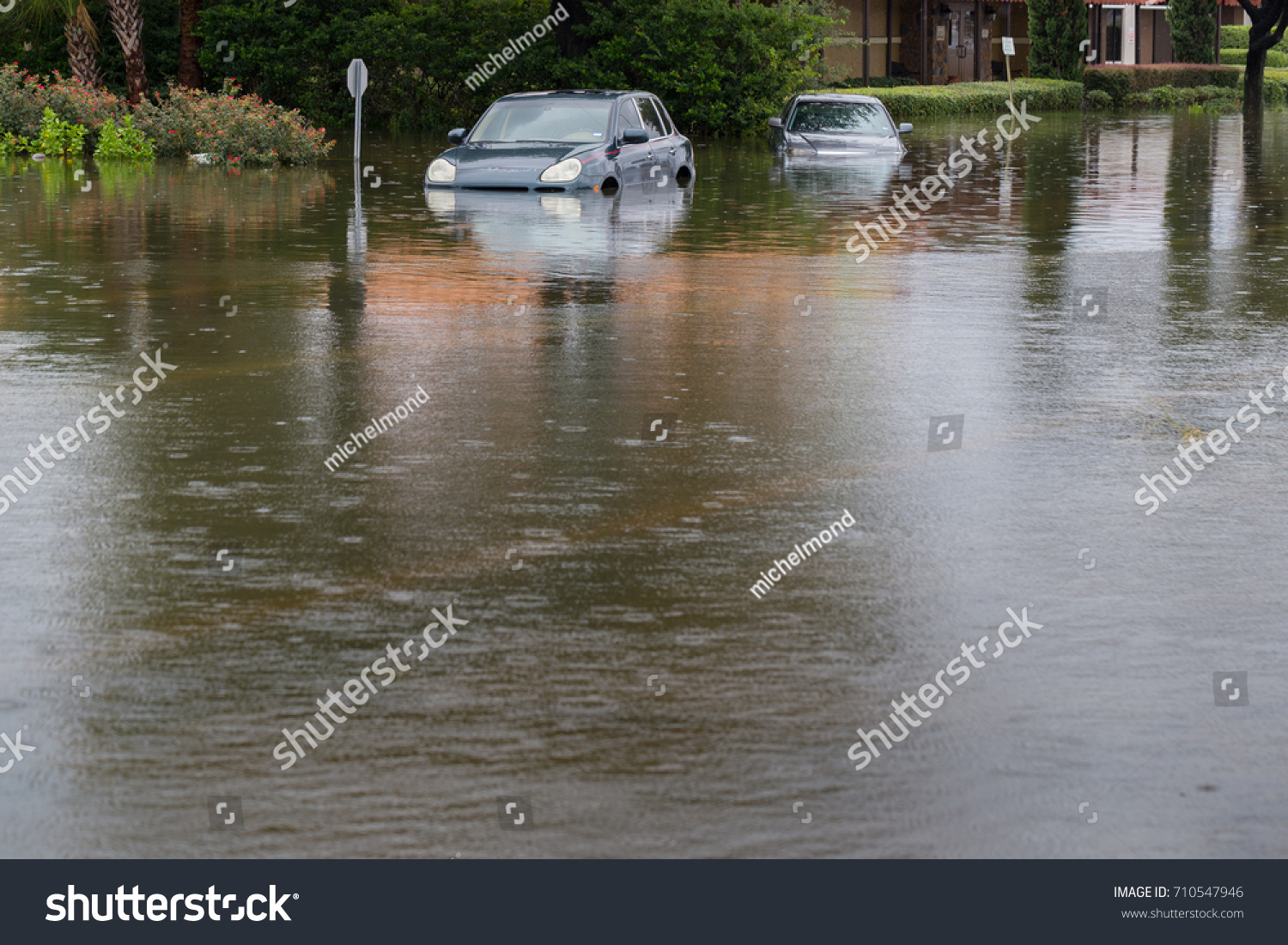 Cars submerged in Texas during hurricane Harvey. For hurricanes like Irma, formed in the Atlantic, climate models have high confidence that future storms will drop more rain and will have higher winds #710547946