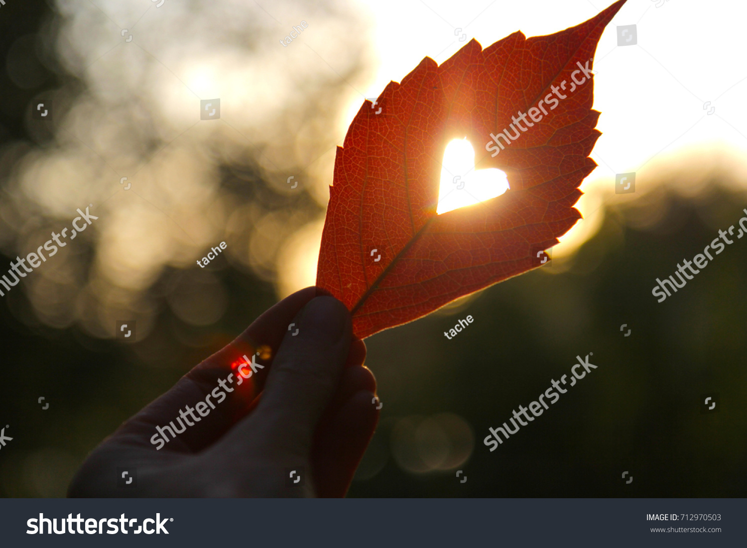 Autumn red leaf with cut heart in a hand #712970503