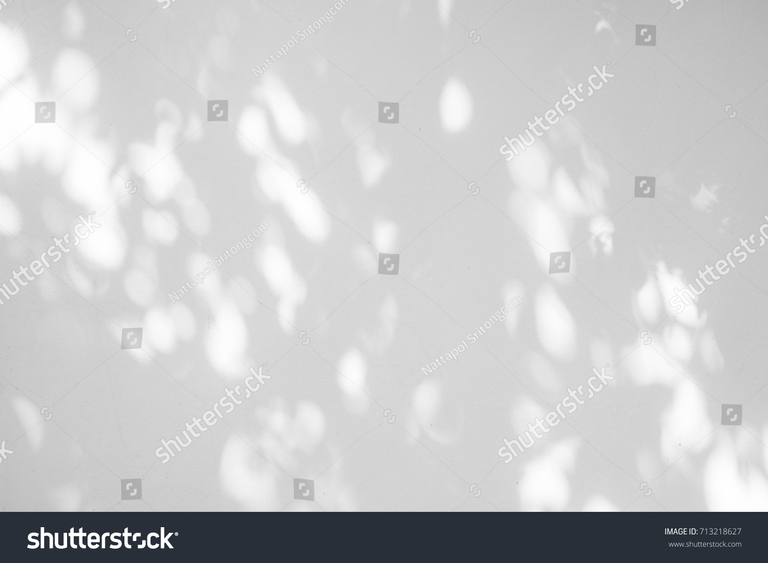 Black and White  abstract background textuer of shadows leaf on a concrete wall. #713218627