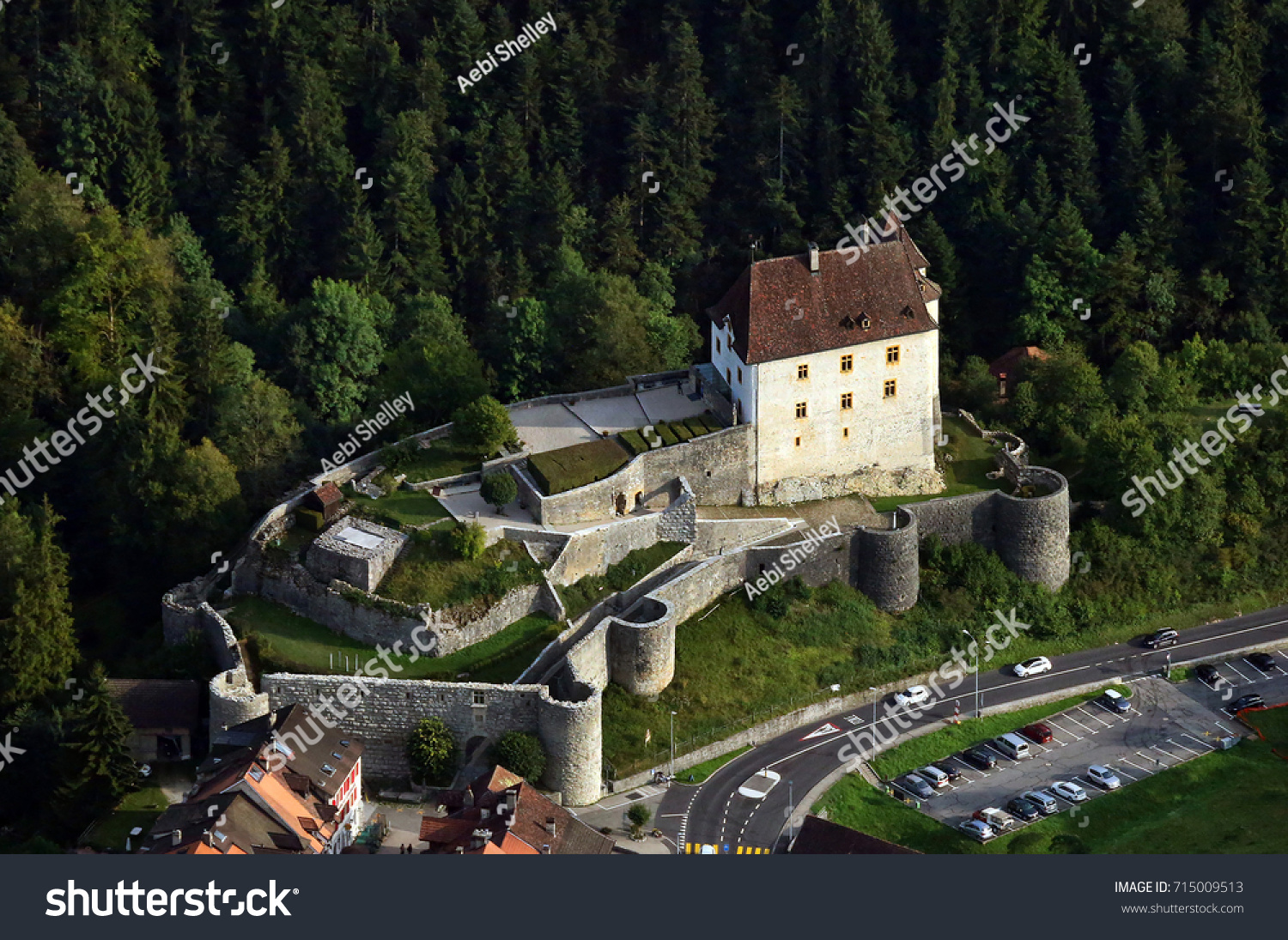 aerial view of castle #715009513