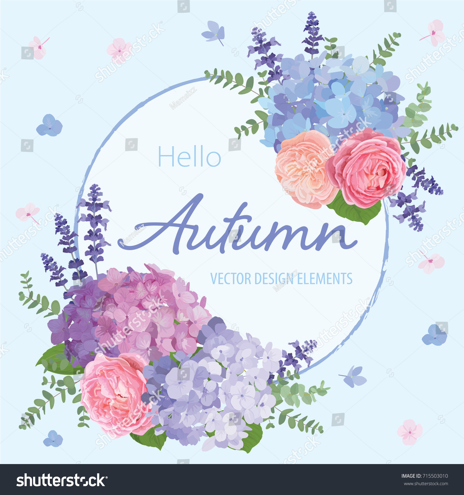 Floral frame with autumn hydrangea flowers, rose, lavender, and leaf on blue in the background. Vector set of blooming flower for your design. Adornment for wedding invitations and greeting card. #715503010