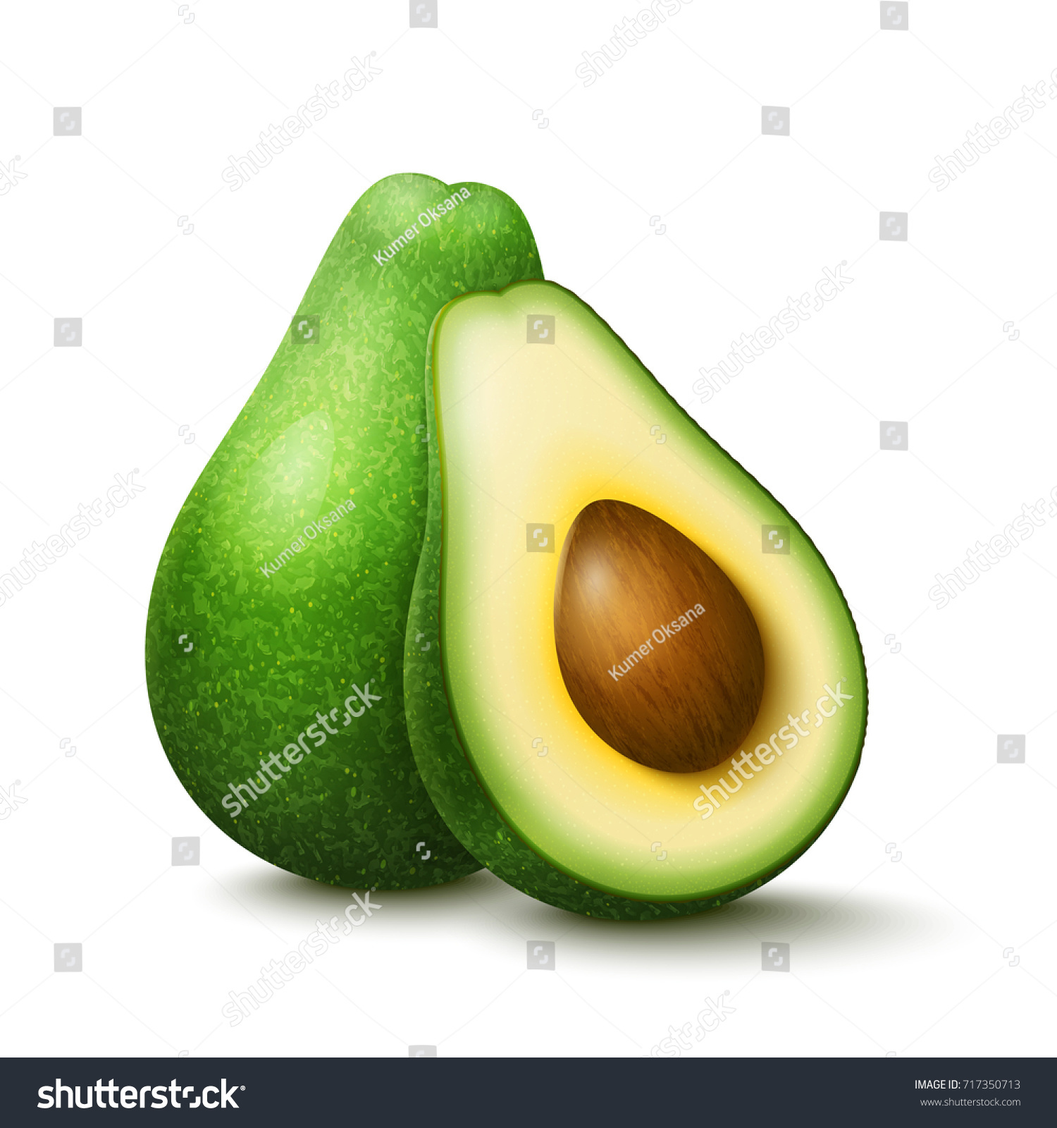 Vector realistic fresh fruit avocado isolated on white background. Whole and cut in half avocado with pit #717350713