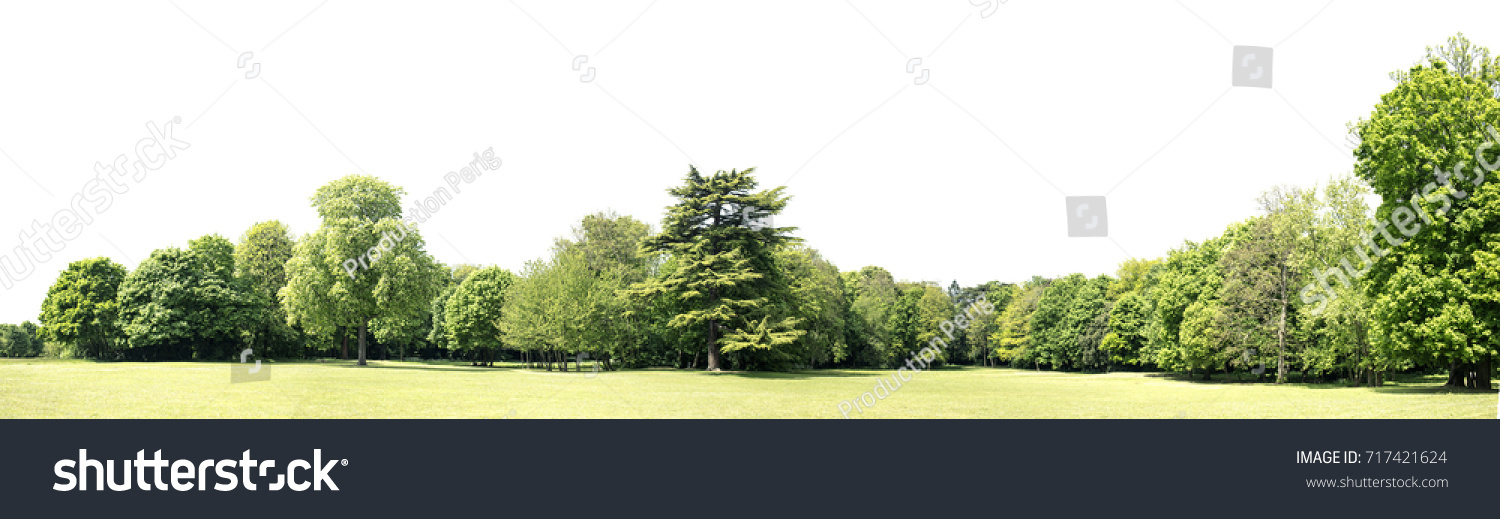 View of a High definition Treeline isolated on a white background #717421624