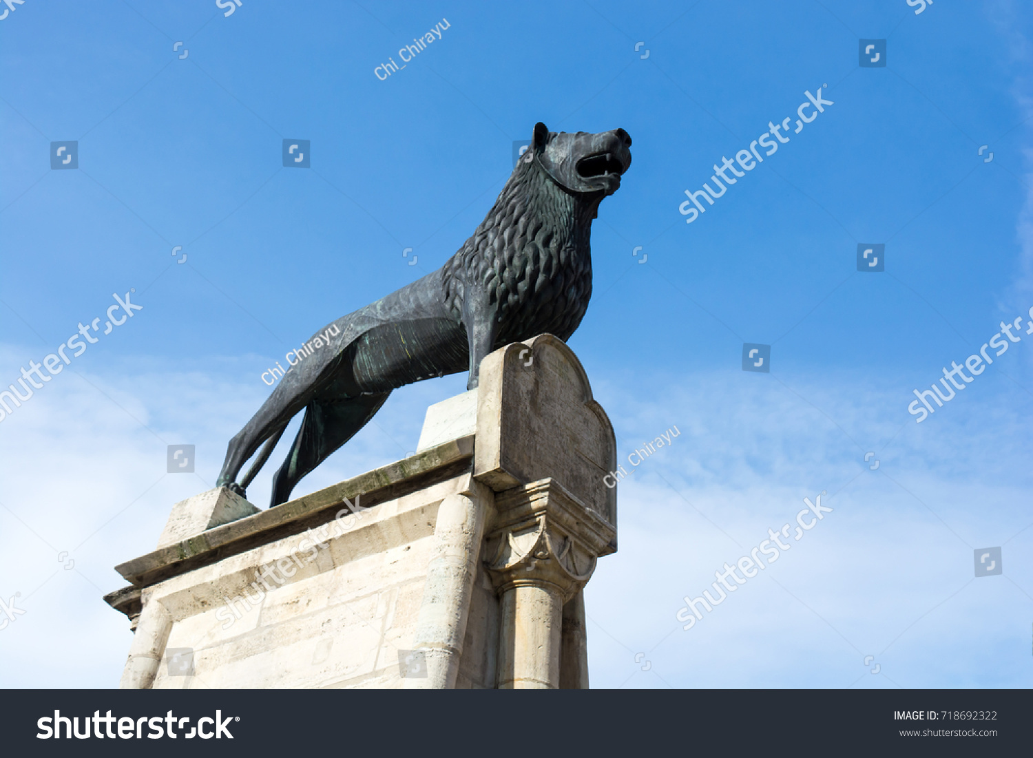 The Brunswick Lion on Burgplatz square near the Dankwarderode Castle and Brunswick Cathedral in Brunswick (Braunschweig), Germany #718692322