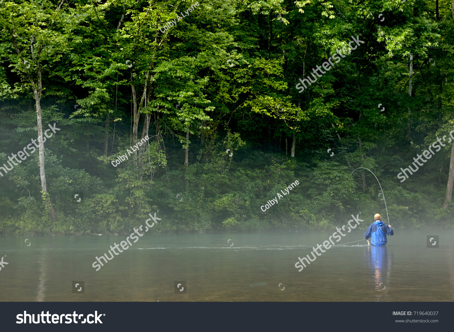 Fisherman fly fishing in a misty Eleven Point River, Missouri in the early morning standing waist deep in the water with his rod in a lush green environment #719640037