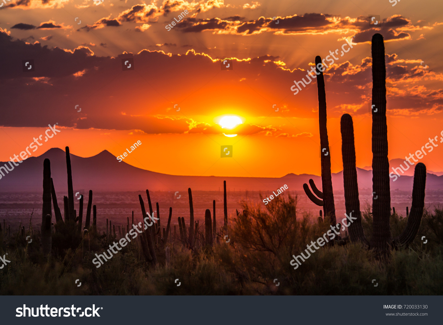 Tucson, Arizona #720033130