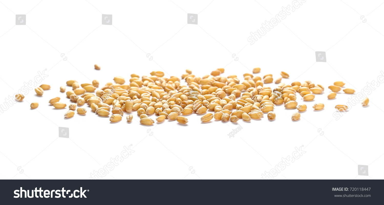 wheat grain isolated on white background #720118447