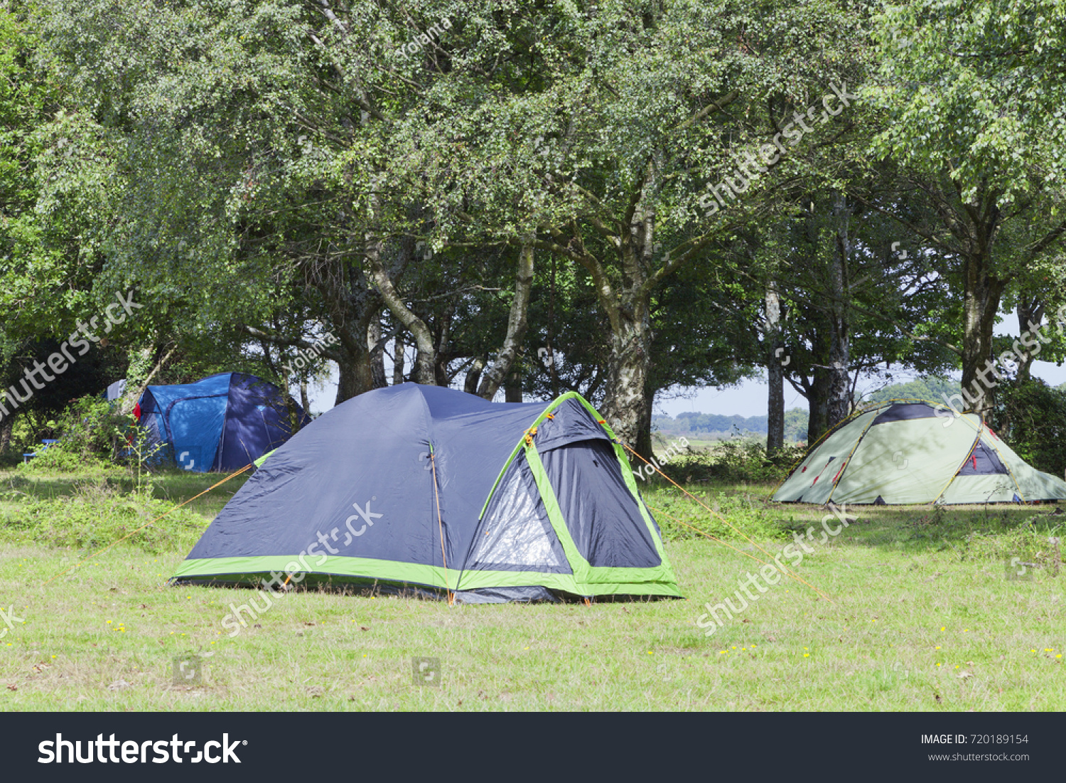 Blue and green camping tents under the trees in the woodland, on a sunny summer day . #720189154