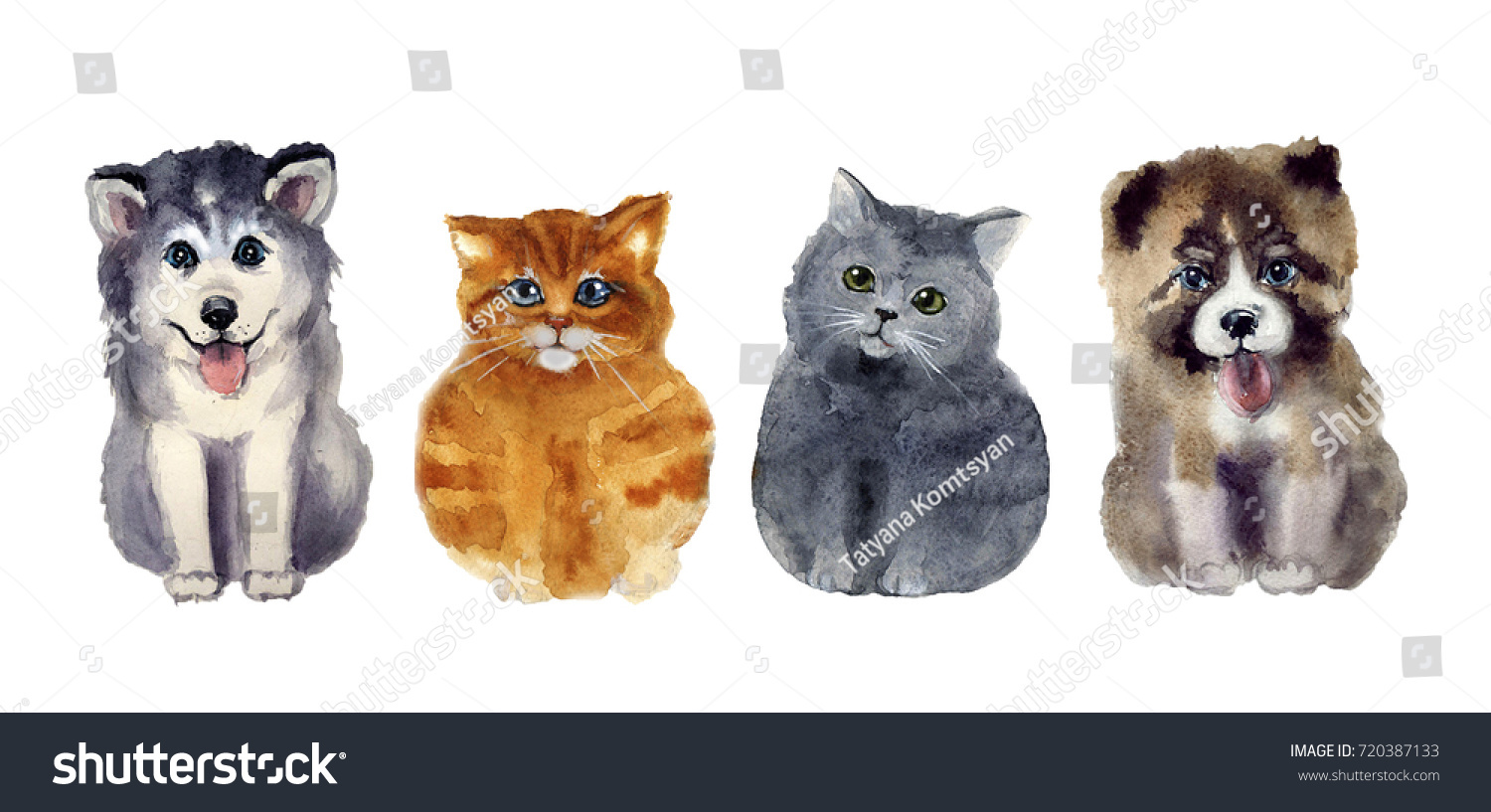 watercolor cute cats and dogs on the white background #720387133