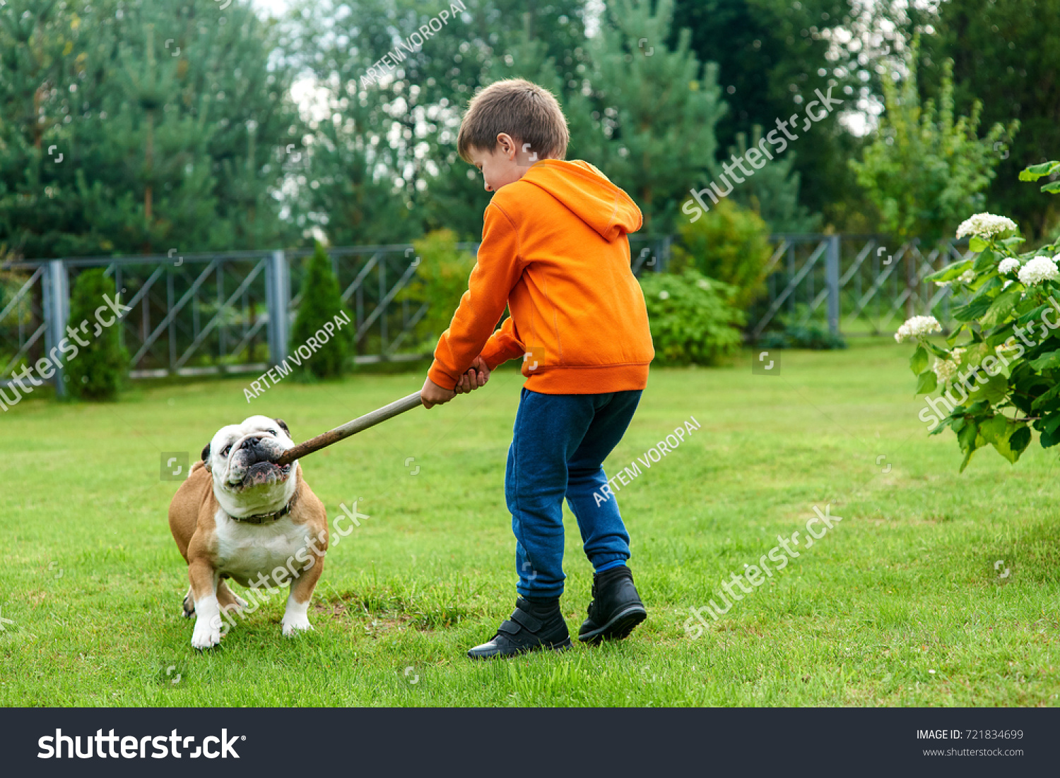 Caucasian boy playing with a bulldog. #721834699