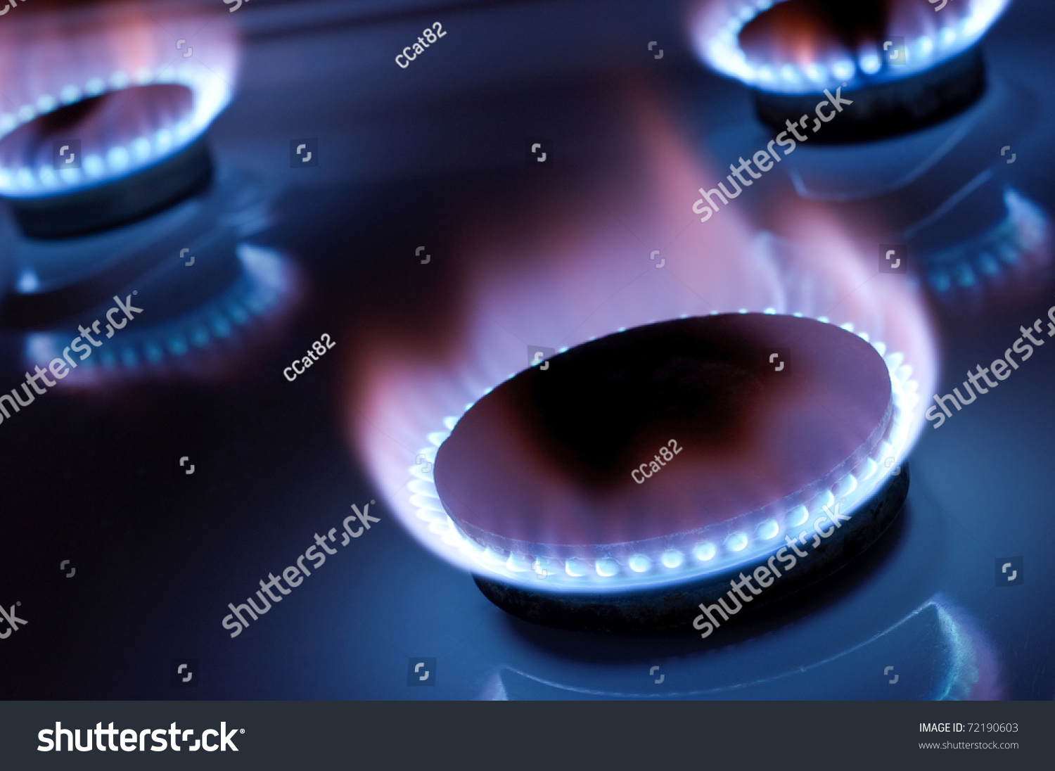Gas burner in the kitchen oven #72190603