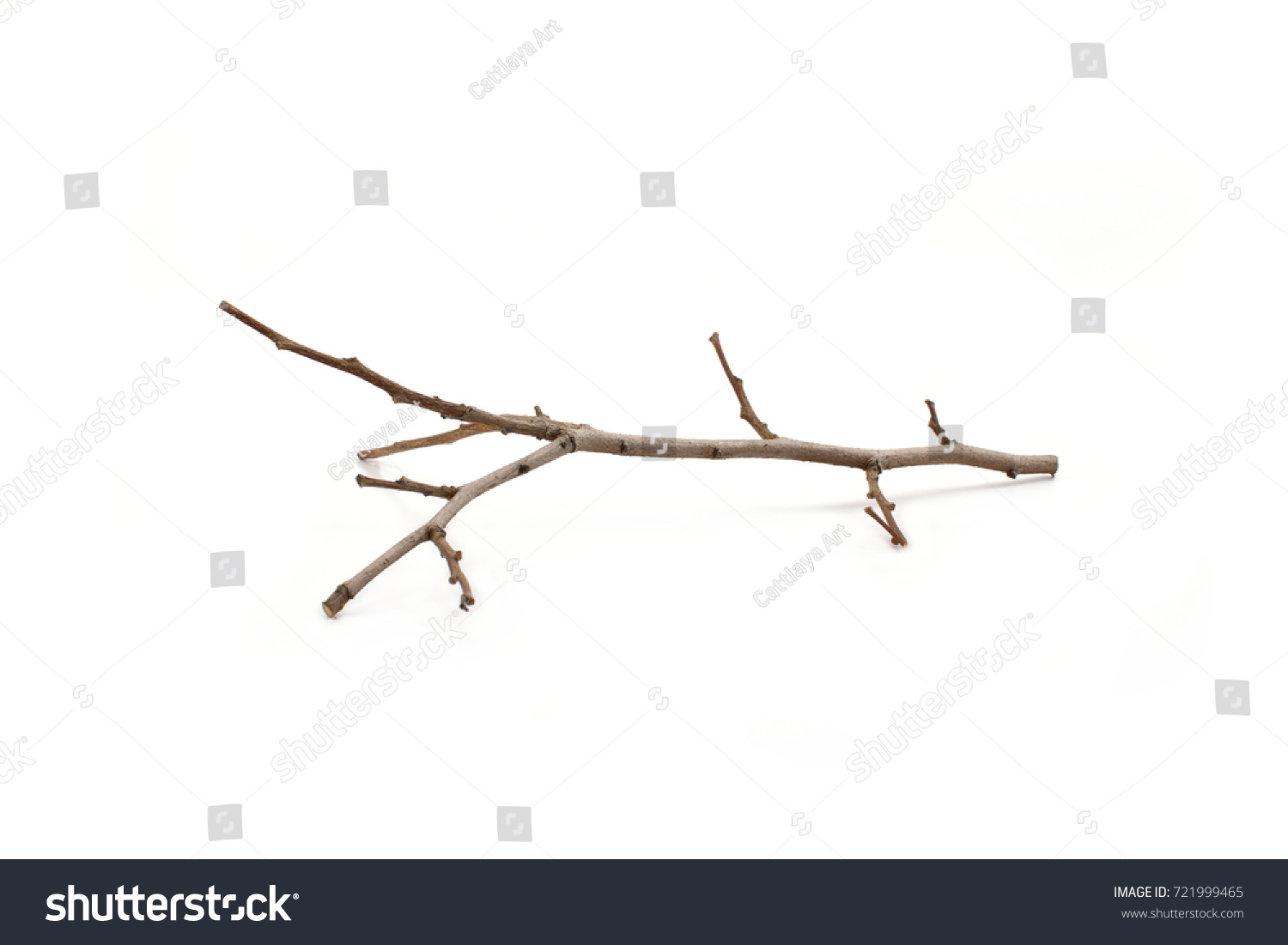 Dry branches on white wood. #721999465