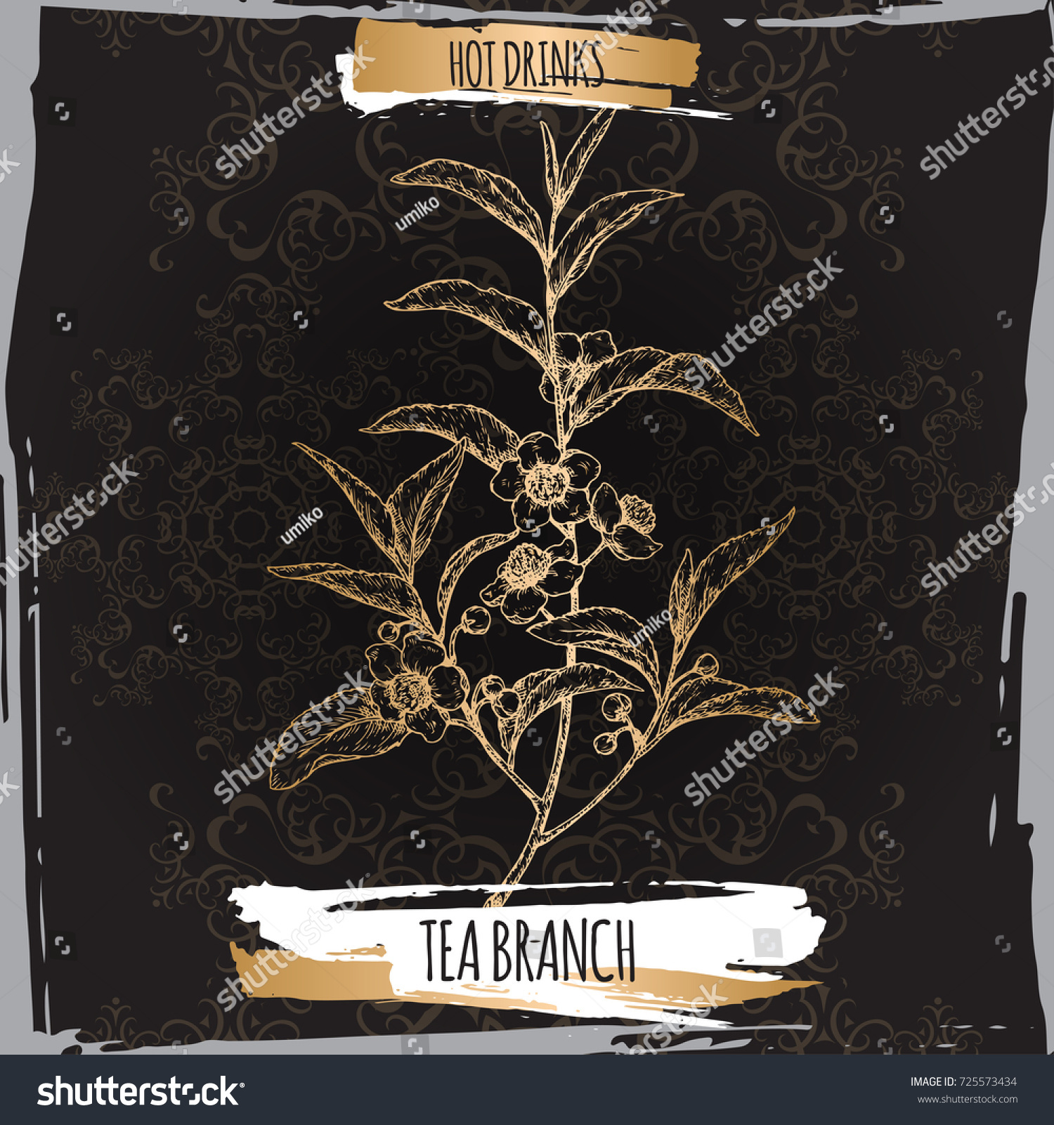 Tea Plant Aka Tea Camellia Sinensis Branches - Royalty Free Stock ...