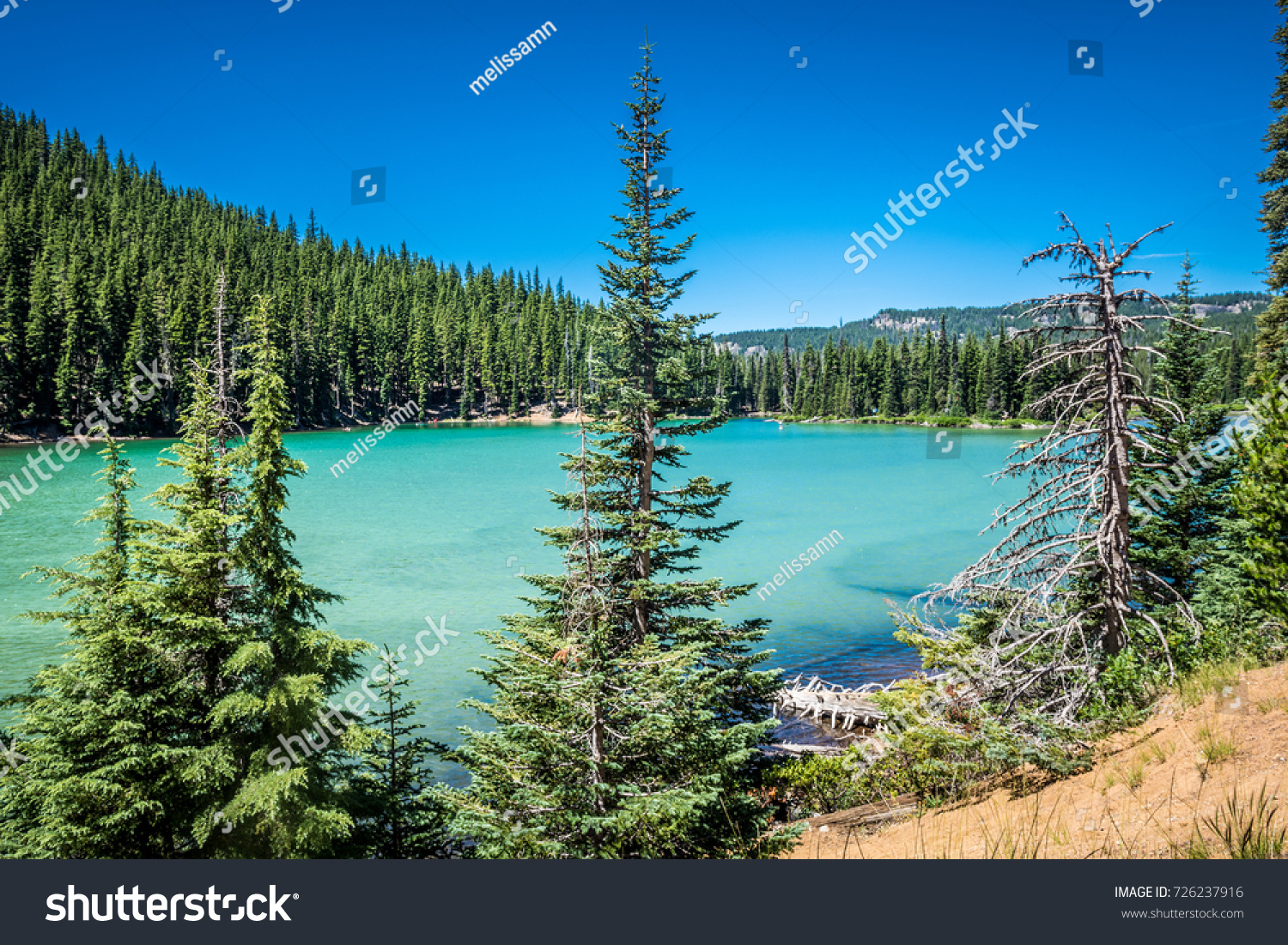 View of Sparks Lake on the Cascade Lakes Scenic Byway in Bend Oregon in Deschutes County. The lake has a natural teal green blue color from glacial sediments  #726237916
